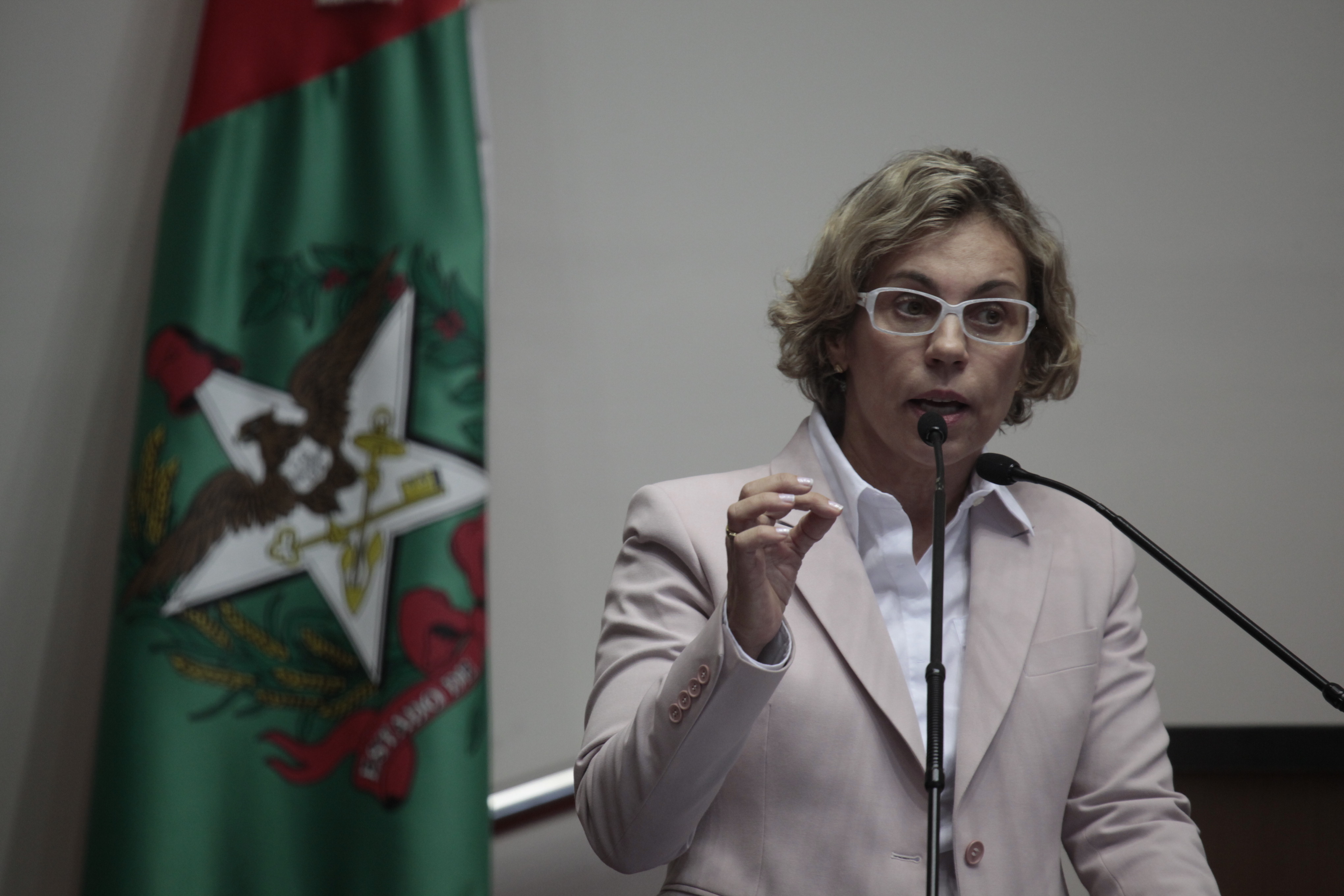 Sessão Ordinária - Plenário Osni Régis - Deputada Ana Paula Lima (PT) - Foto: Carlos Kilian