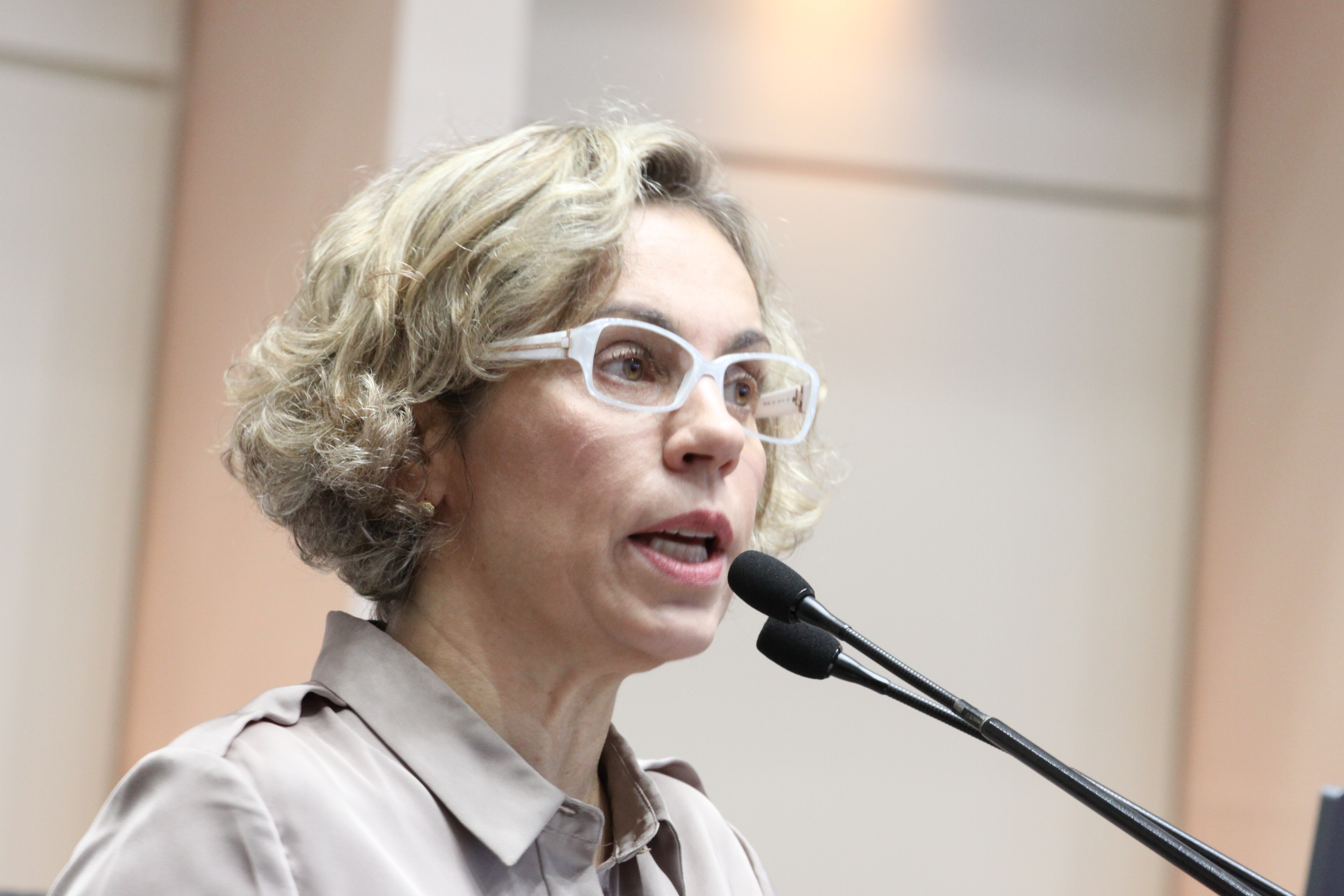 Sessão Ordinária Plenário Osni Régis. Foto: Eduardo Guedes de Oliveira