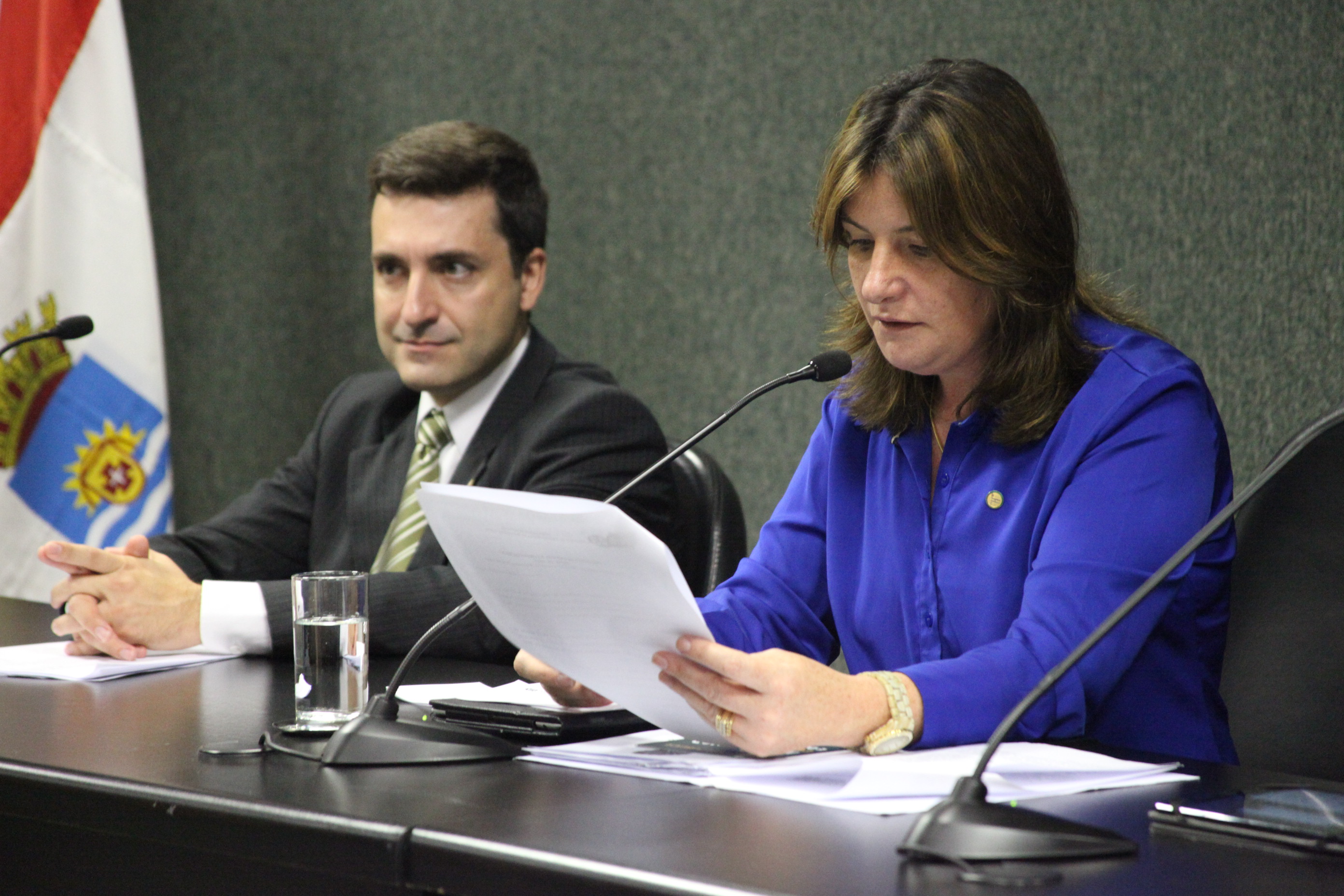 Comissão Especial – PEC 207