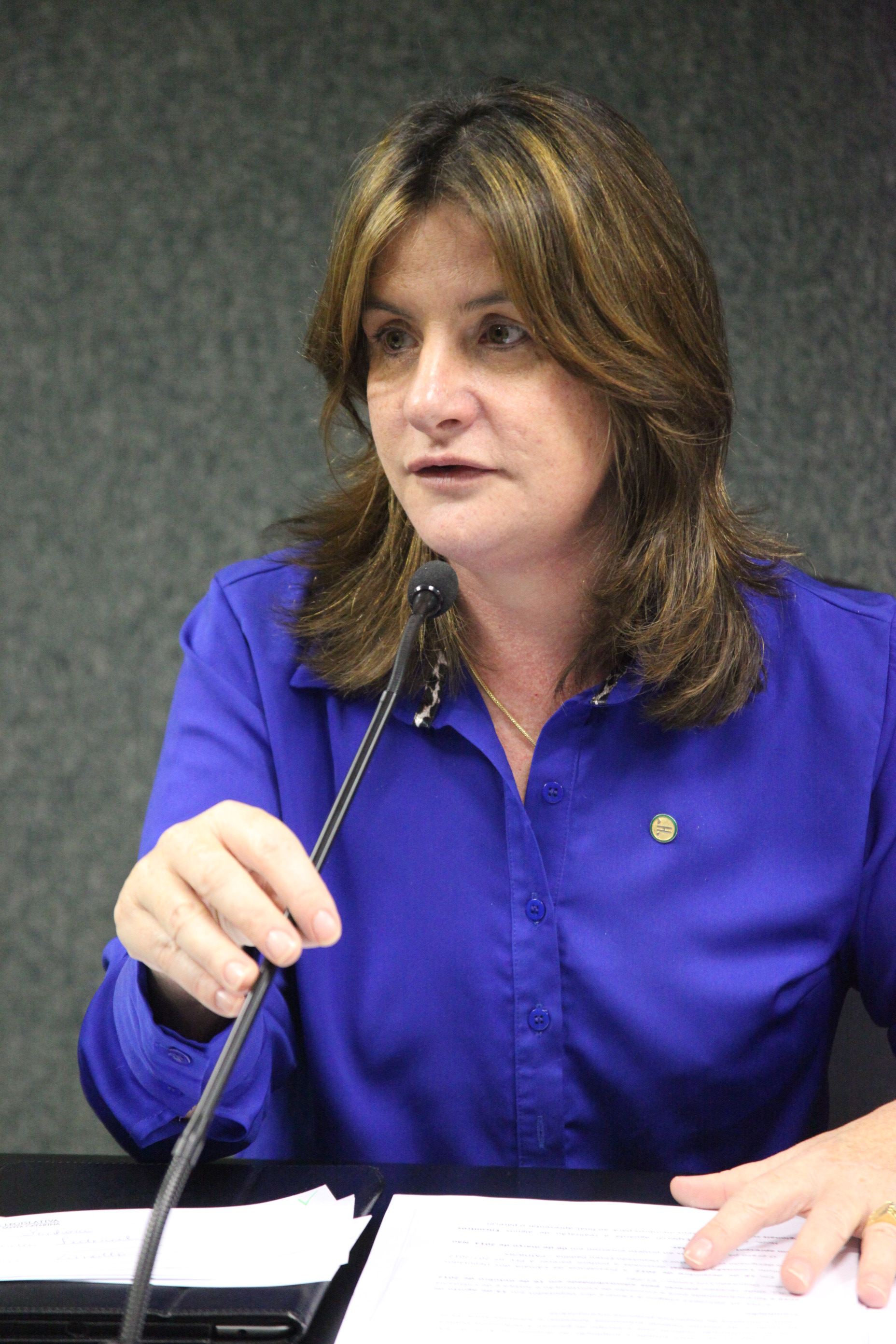Reunião da Comissão Especial que proferirá parecer sobre a PEC 207. Foto: Fábio Queiroz.