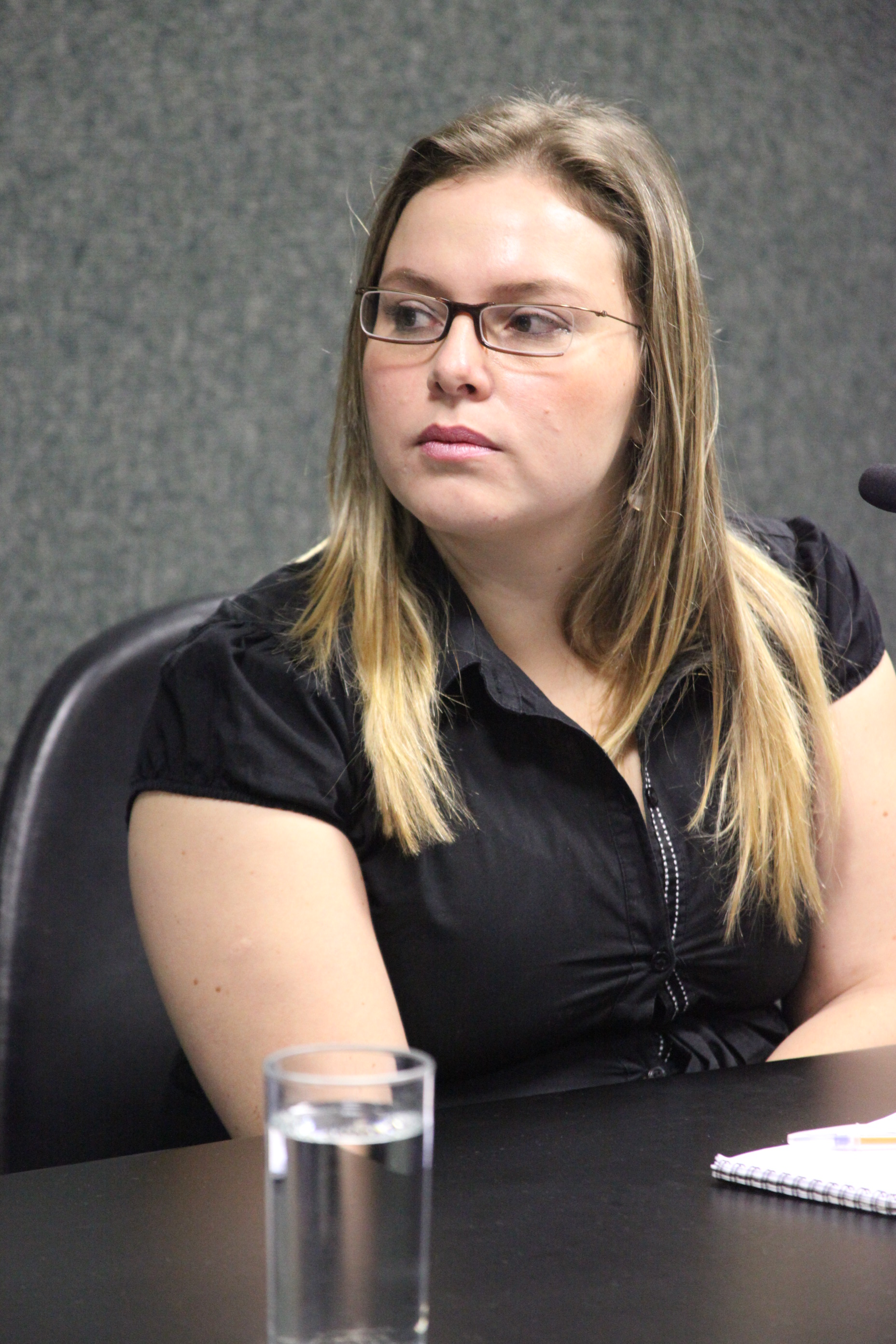 Reunião da Comissão Especial que proferirá parecer sobre a PEC 207. Foto: Fábio Queiroz.