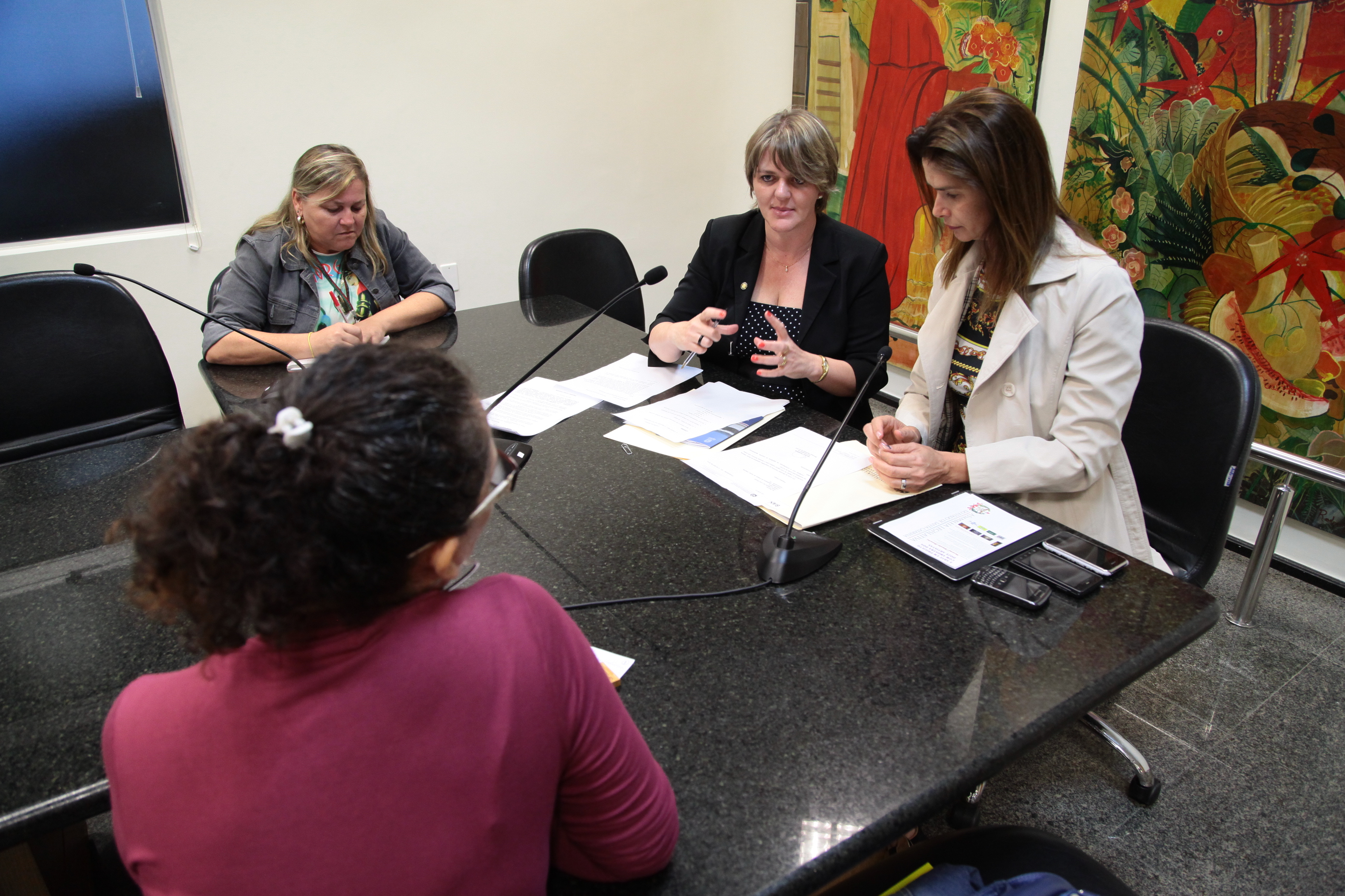 Reunião da Bancada Feminina