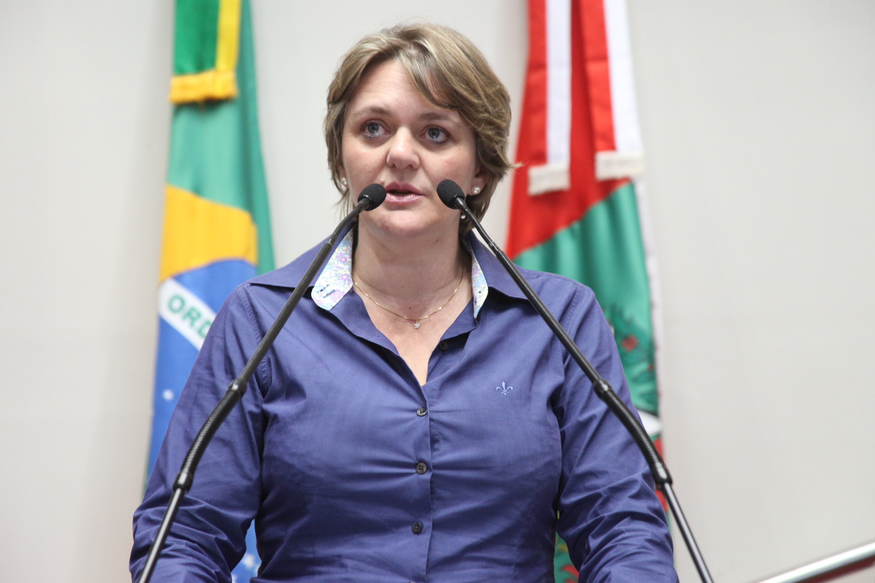 Sessão Ordinária - Plenário Osni Régis. Deputada Luciane Carminatti (PT) Foto: Fábio Queiroz