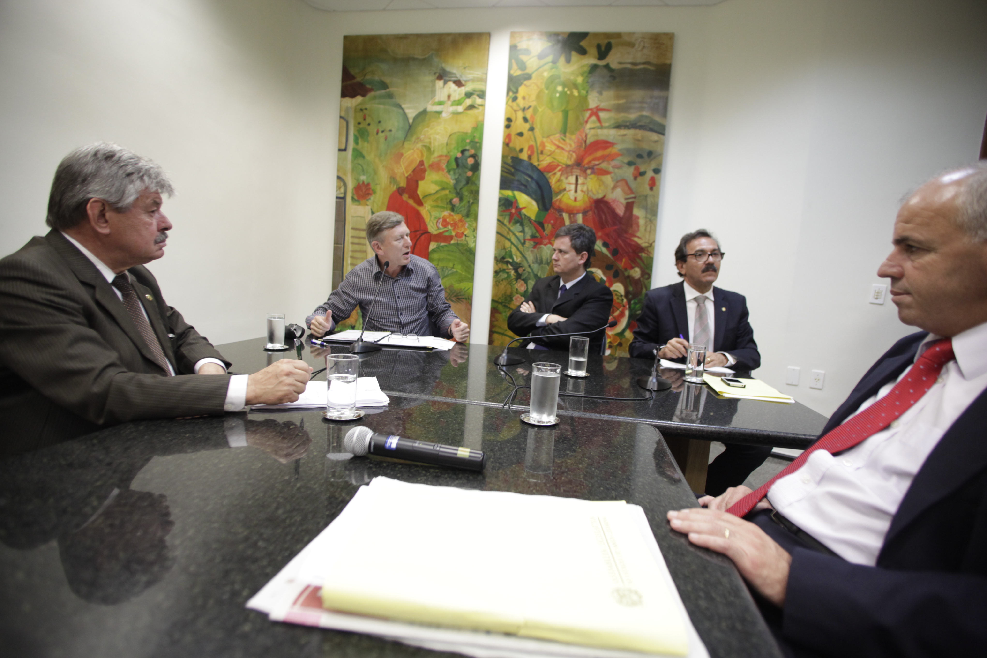 Reunião da Comissão de Proteção Civil. Foto: Carlos Kilian