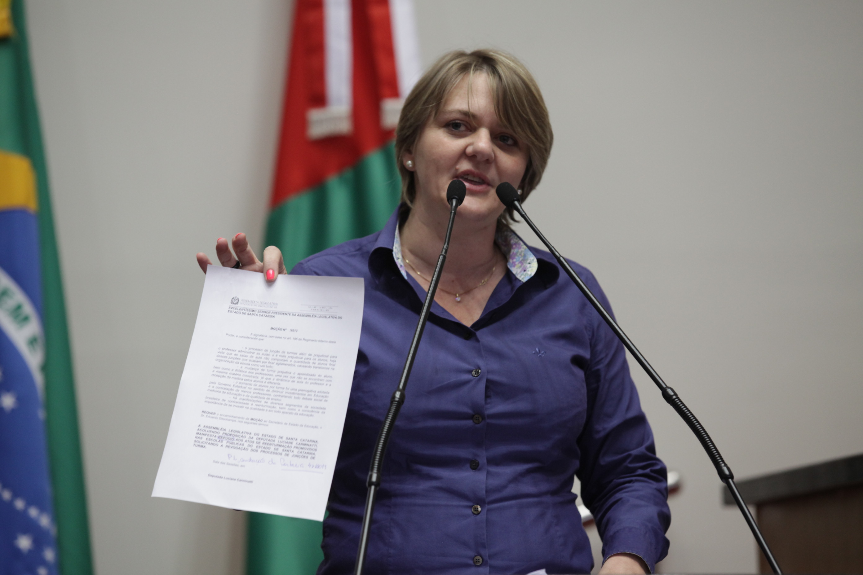 Sessão Ordinária - Deputada Luciane Carminatti (PT)