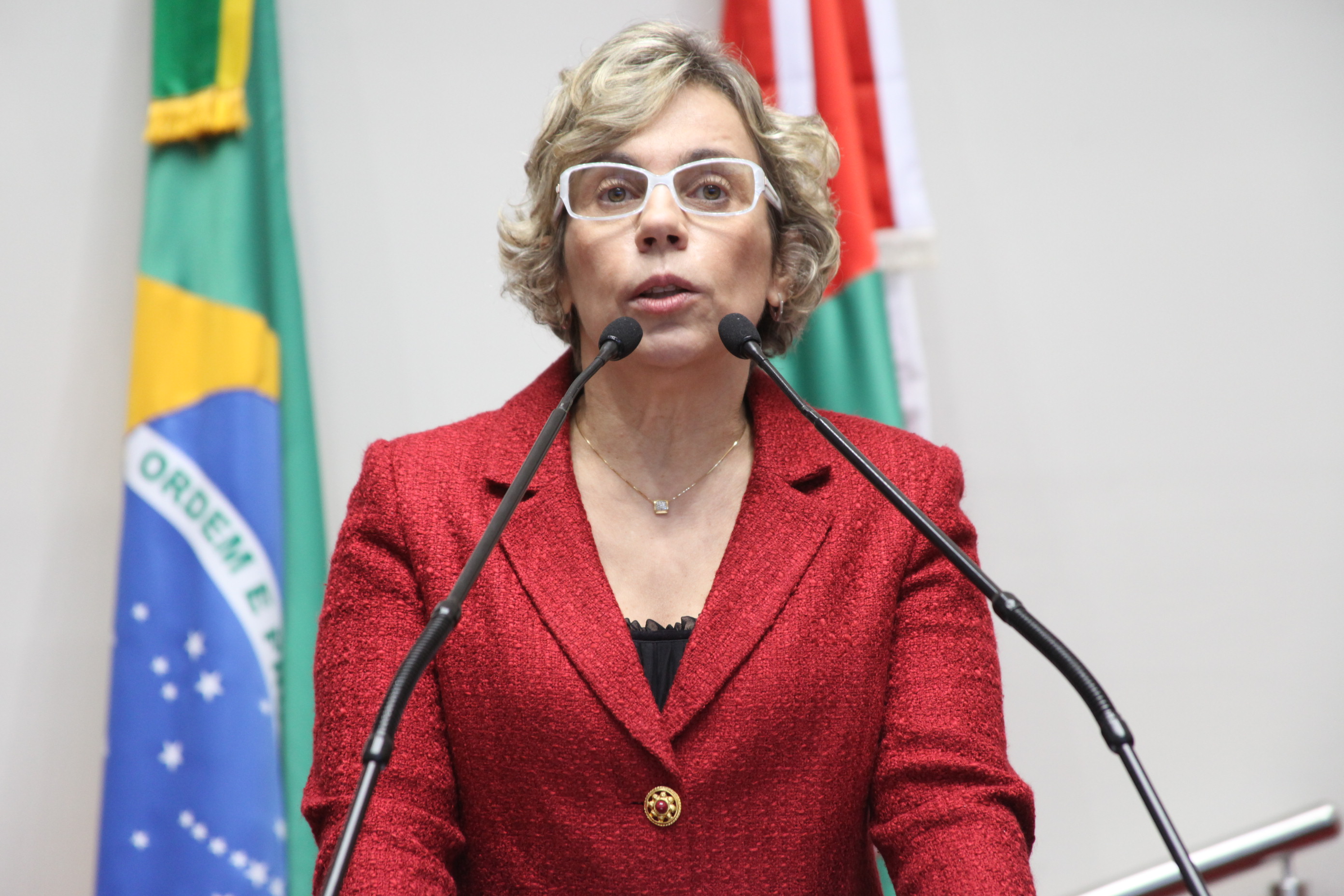 Deputada Ana Paula Lima (PT)  - Sessão Ordinária. Foto: Fábio Queiroz