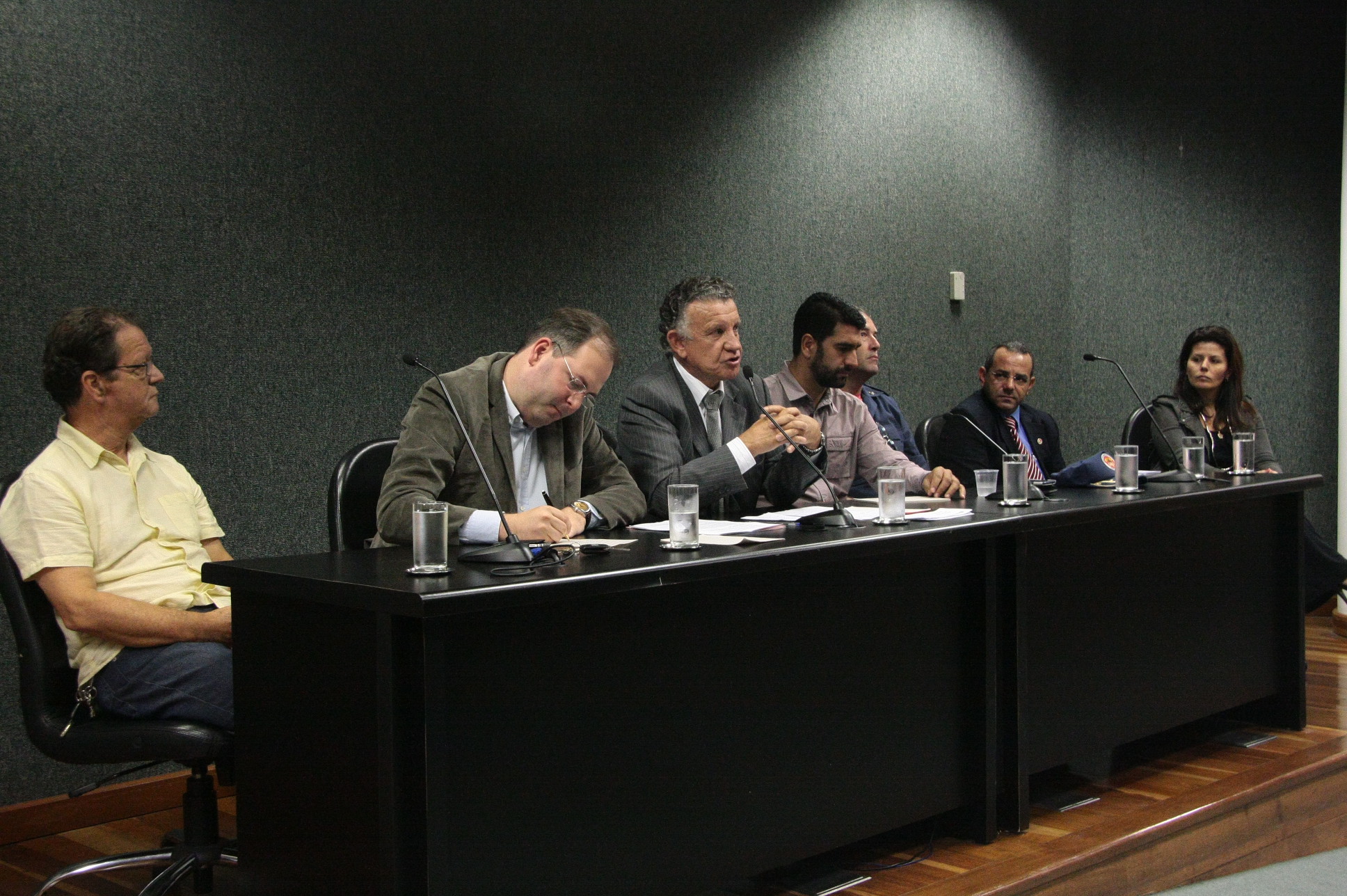 Audiência Pública 