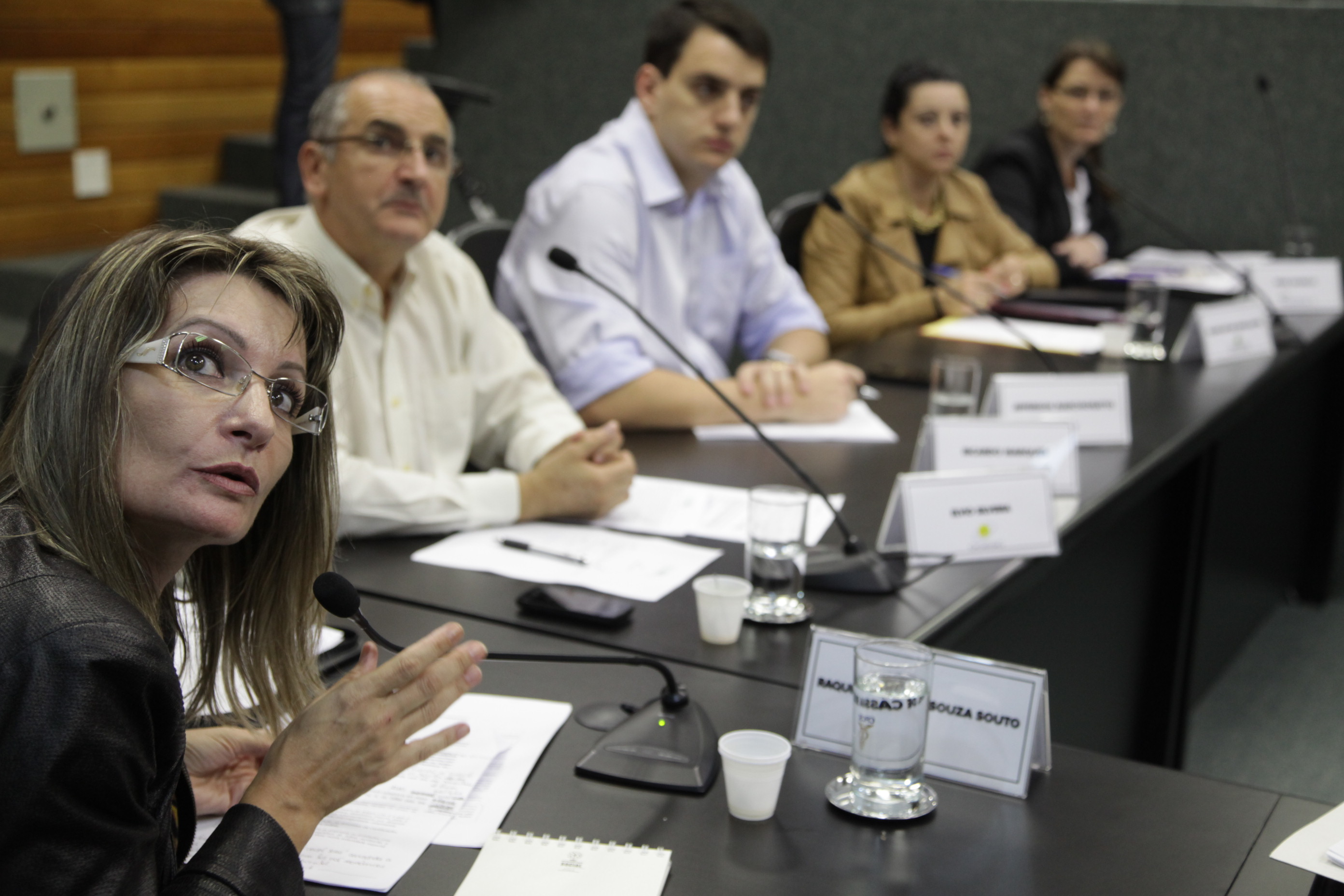 Reunião da Comissão Mista de Responsabilidade Social