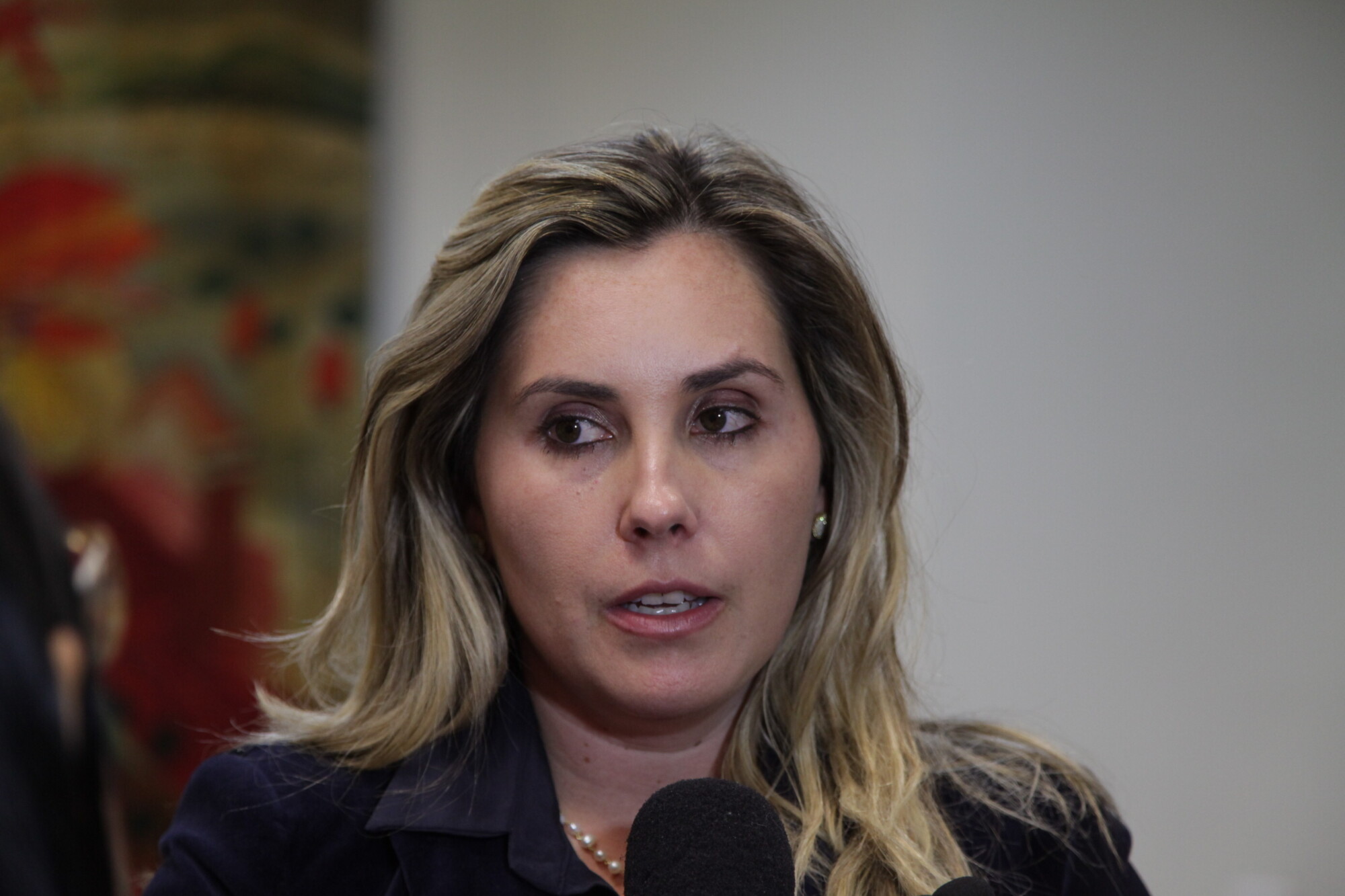 Liziane Tuon, superintendente de Serviços Especializados da Secretaria de Estado da Saúde