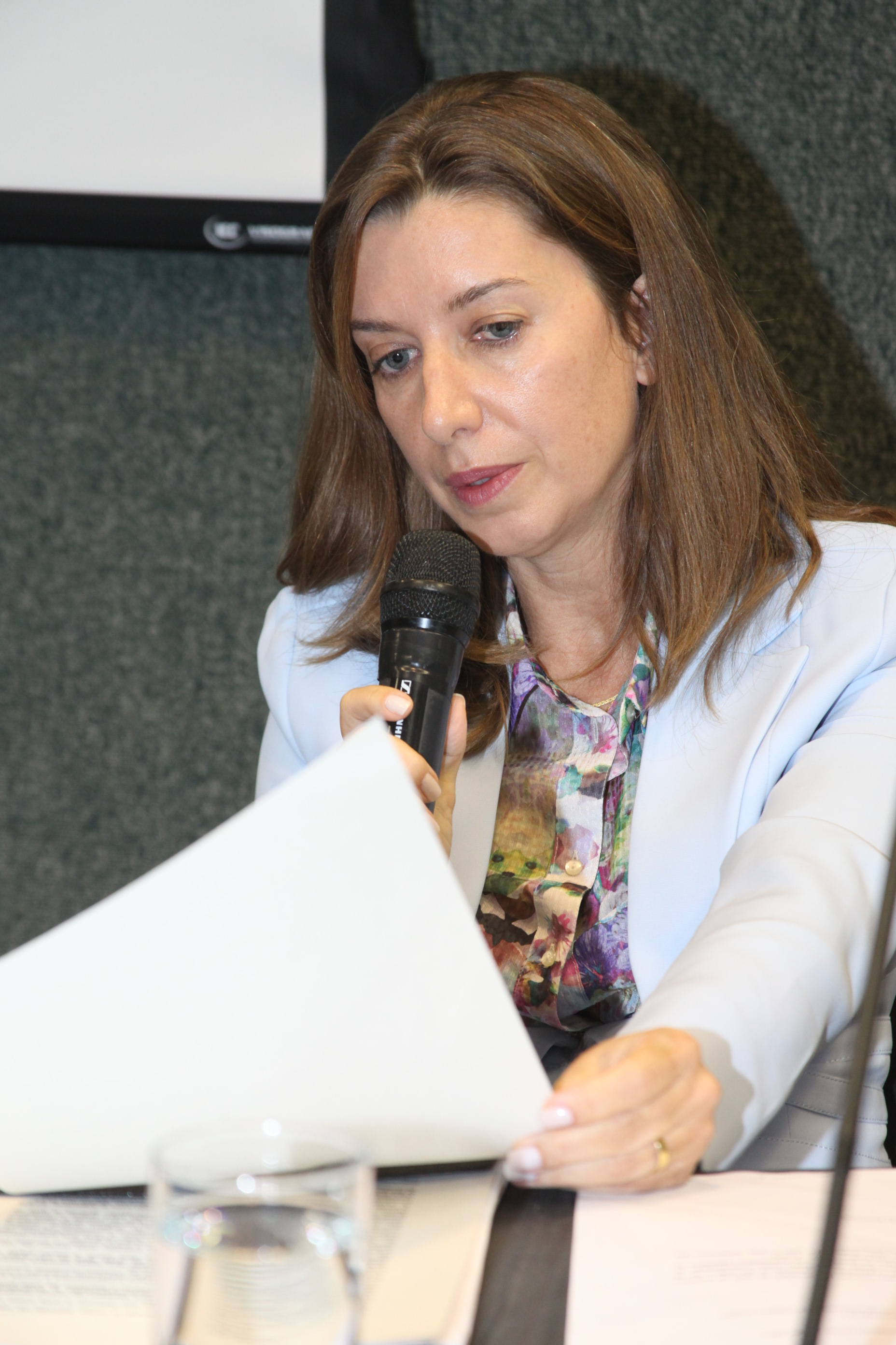 Audiência Pública para decidir sobre a criação do Conselho Estadual de Direitos Humanos. Foto: Fábio Queiroz