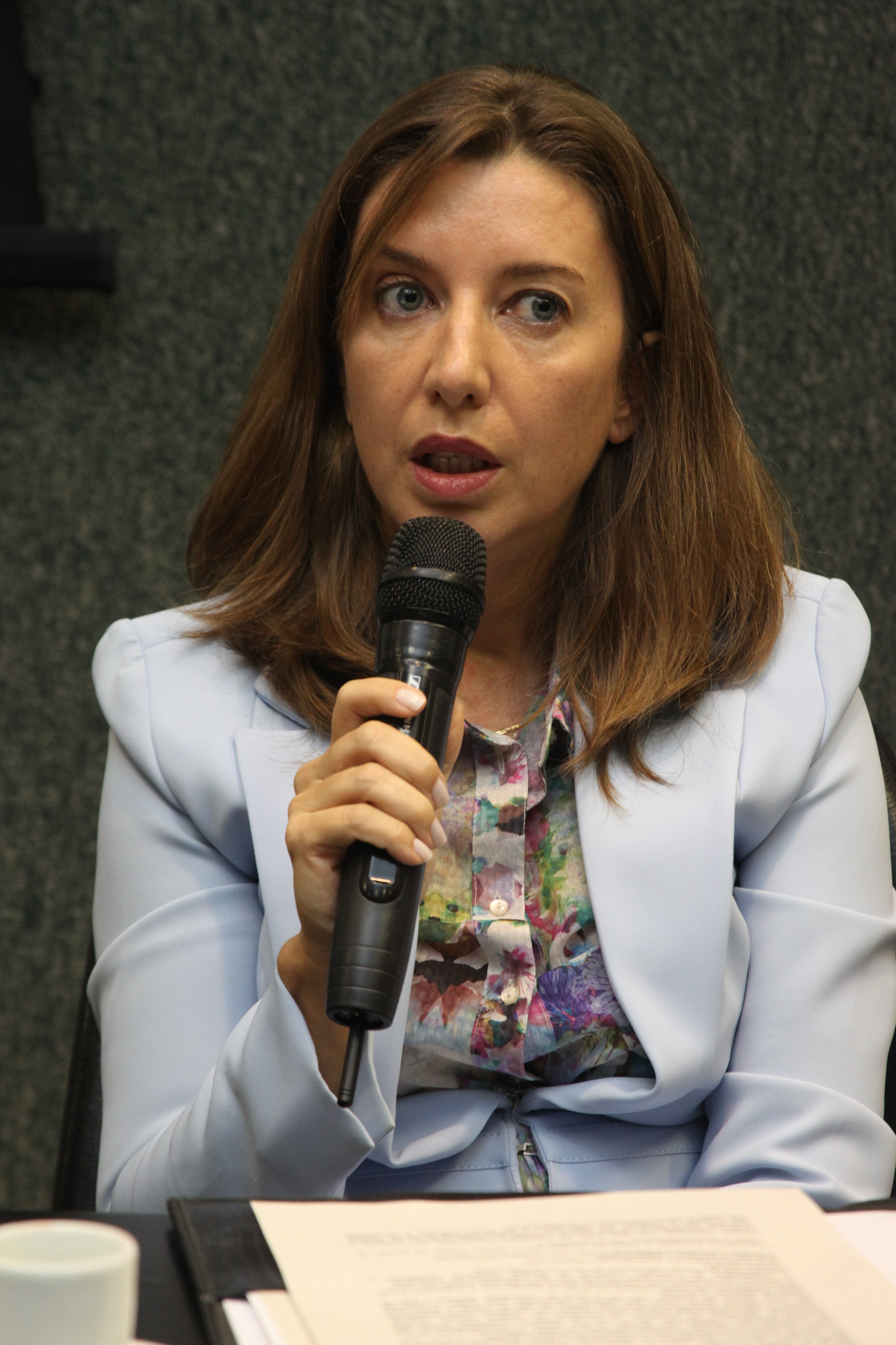 Audiência Pública para decidir sobre a criação do Conselho Estadual de Direitos Humanos. Foto: Fábio Queiroz
