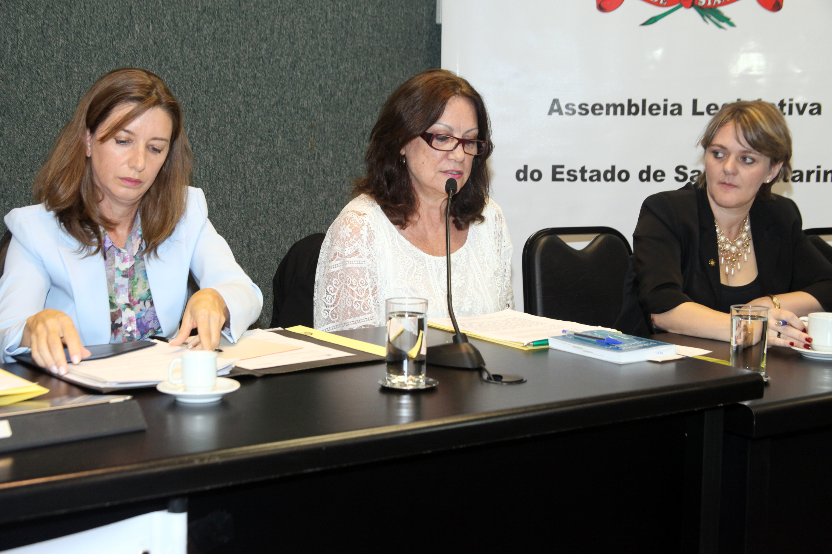 Audiência Pública para decidir sobre a criação do Conselho Estadual de Direitos Humanos. Foto: Fábio Queiroz