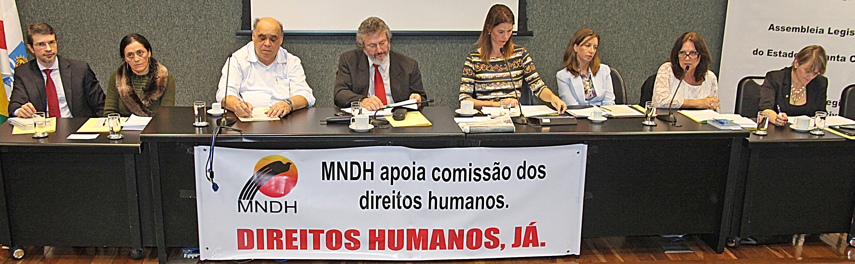Audiência Pública para decidir sobre a criação do Conselho Estadual de Direitos Humanos. Foto: Fábio Queiroz