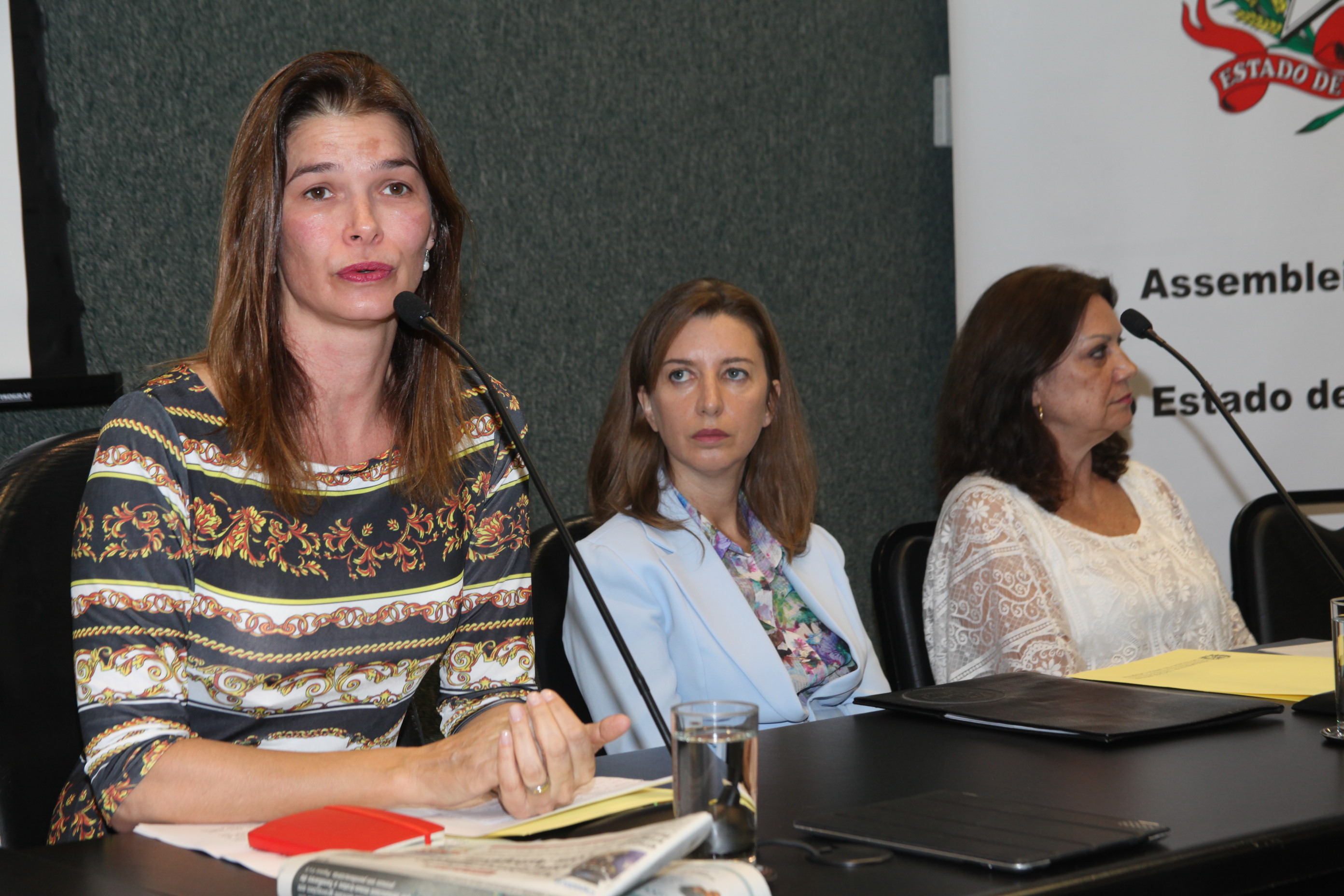 Audiência Pública para decidir sobre a criação do Conselho Estadual de Direitos Humanos. Foto: Fábio Queiroz