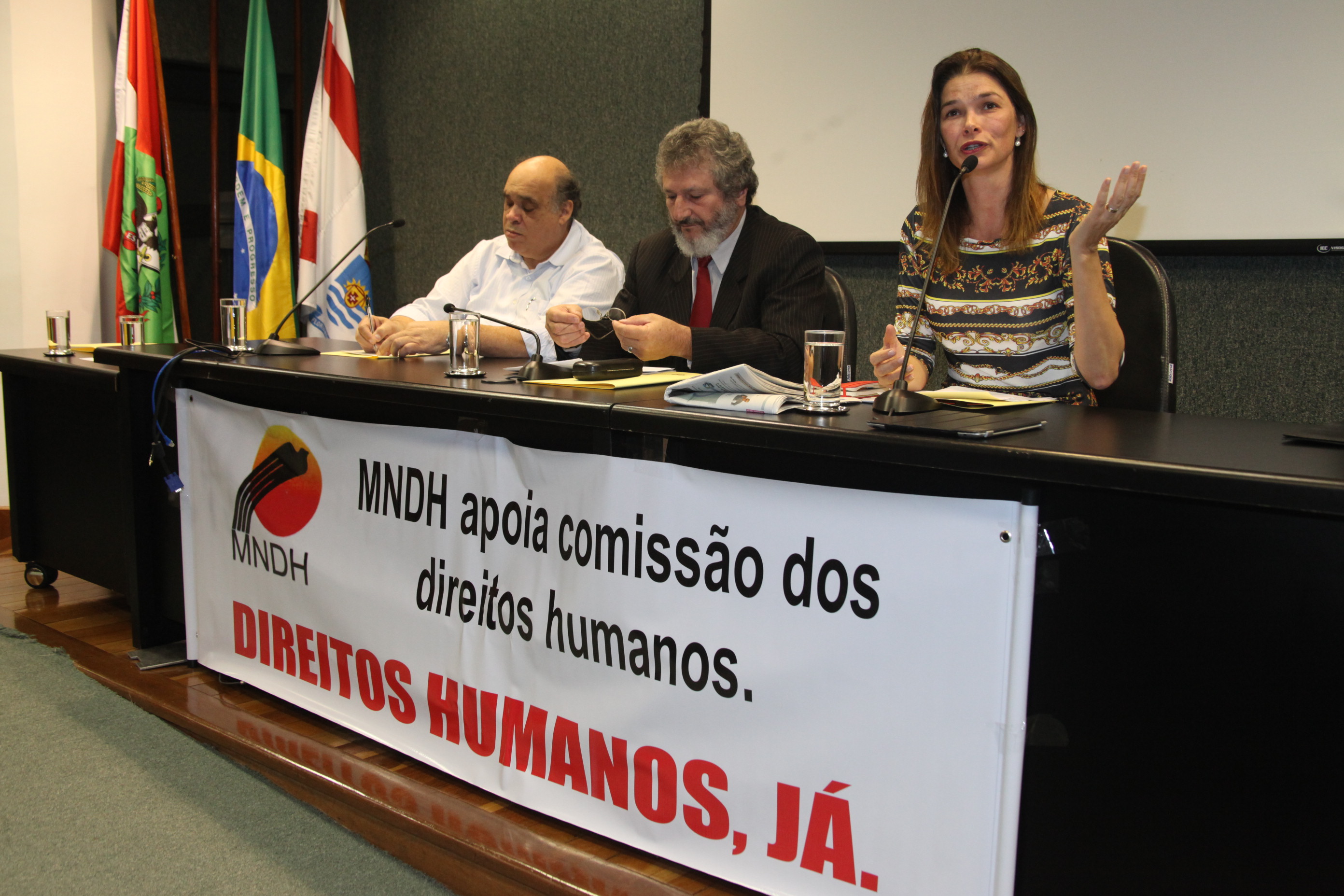 Audiência Pública para decidir sobre a criação do Conselho Estadual de Direitos Humanos. Foto: Fábio Queiroz