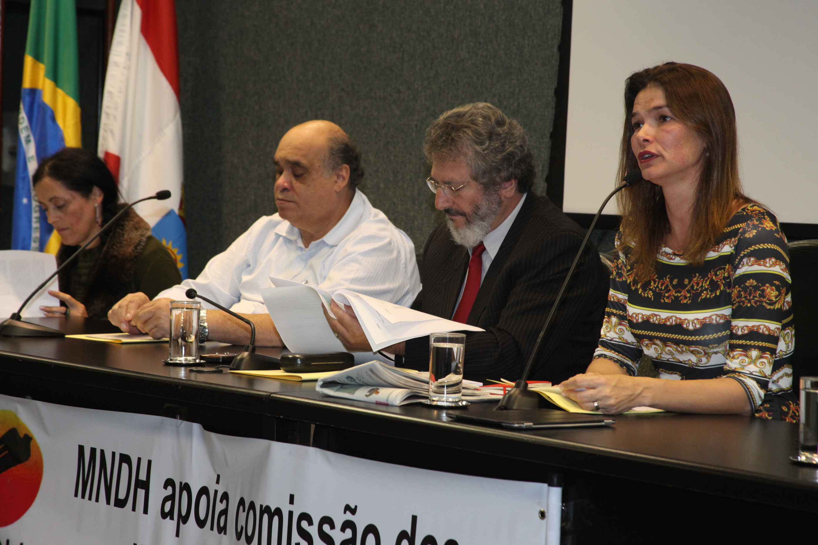 Audiência Pública para decidir sobre a criação do Conselho Estadual de Direitos Humanos. Foto: Fábio Queiroz