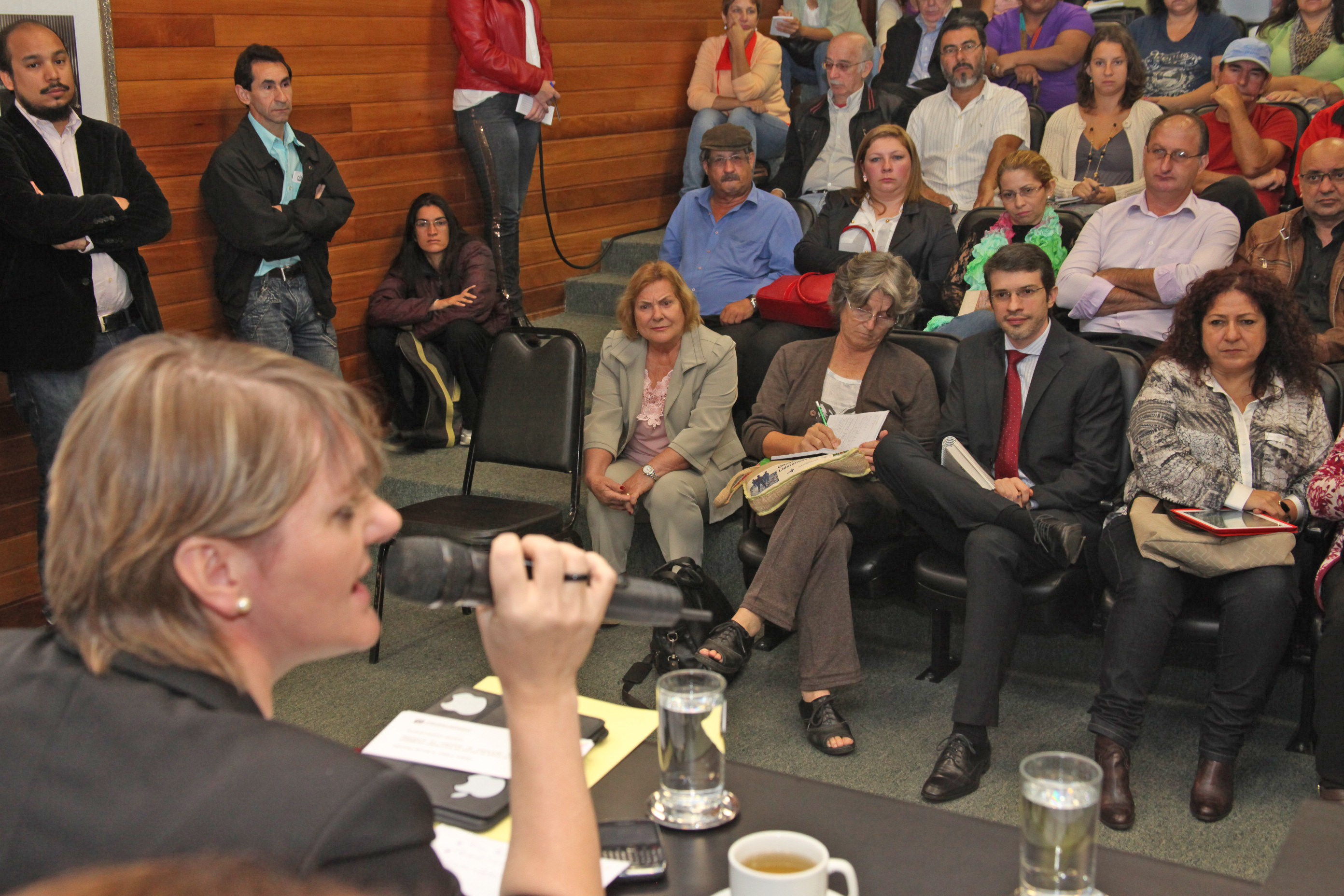 Audiência Pública para decidir sobre a criação do Conselho Estadual de Direitos Humanos. Foto: Fábio Queiroz