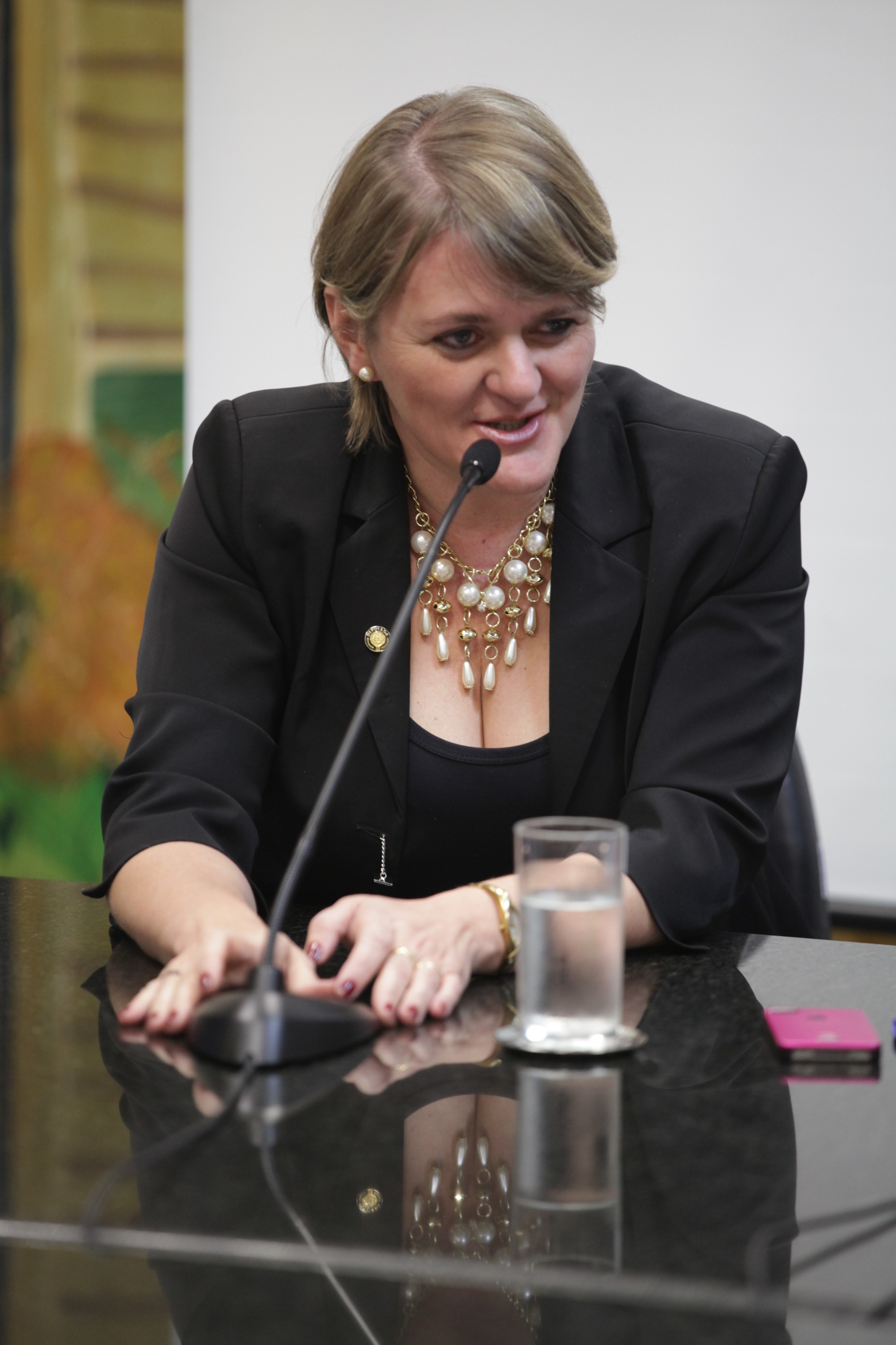Sessão Ordinária - Plenário Osni Régis - Deputada: Luciane Carminatti (PT) - Foto: SS