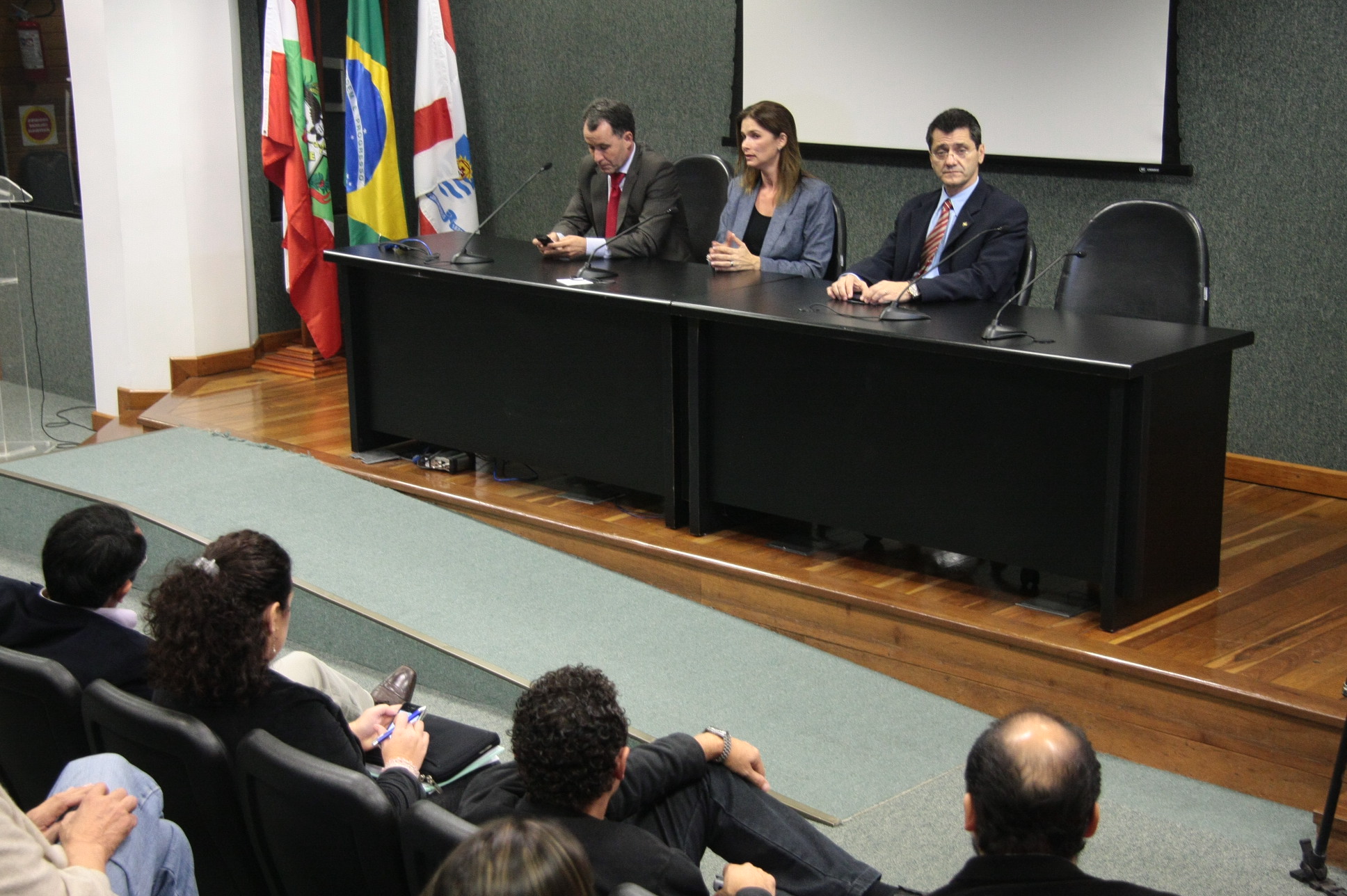 Primeira Reunião da Frente Parlamentar Contra a Violência