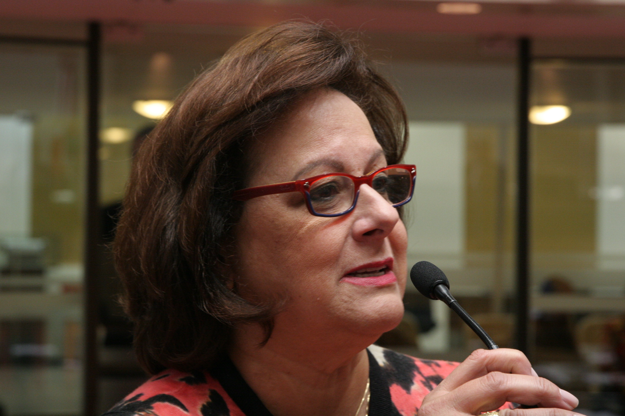 Sessão Ordinária - Plenário Osni Régis. Foto: Eduardo Guedes de Oliveira