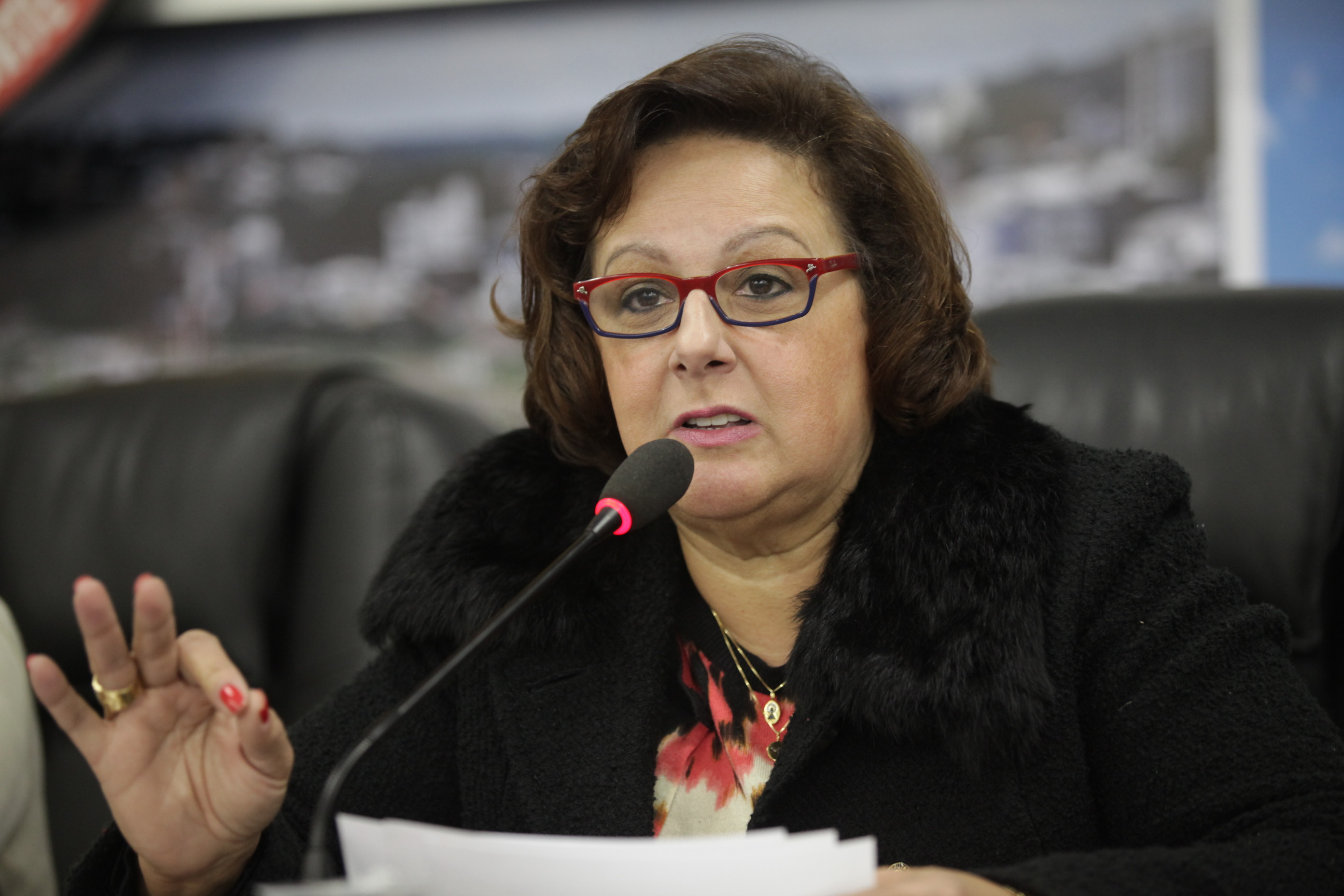 Dirce Heiderscheidt (PMDB) - Audiência Pública da Federação Internacional sobre o Envelhecimento digno à Santa Catarina