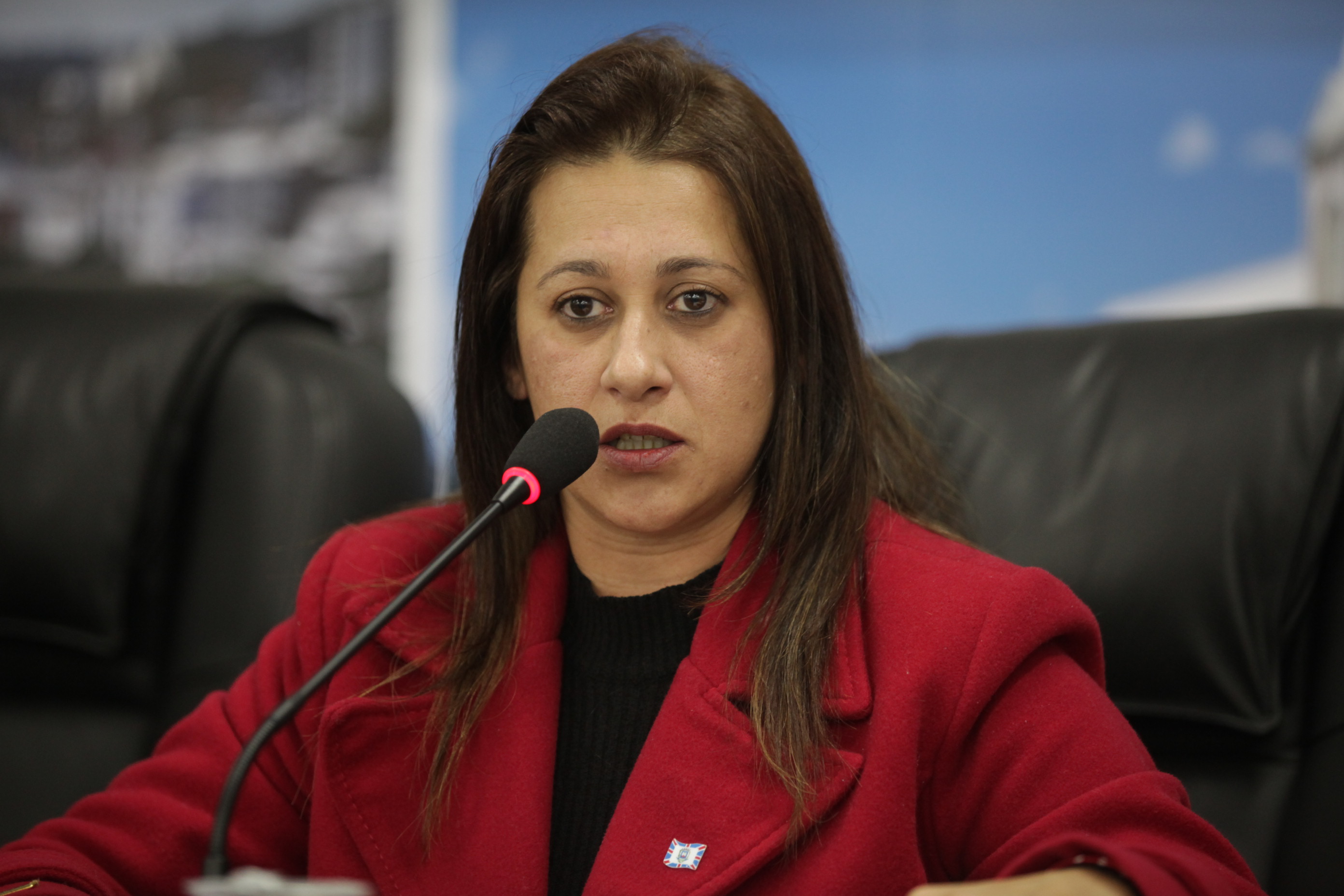 Beatriz Ribeiro Filho - Audiência Pública da Federação Internacional sobre o Envelhecimento digno à Santa Catarina
