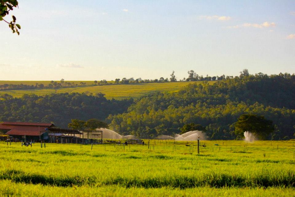 Brasil Orgânico estreia em Santa Catarina.