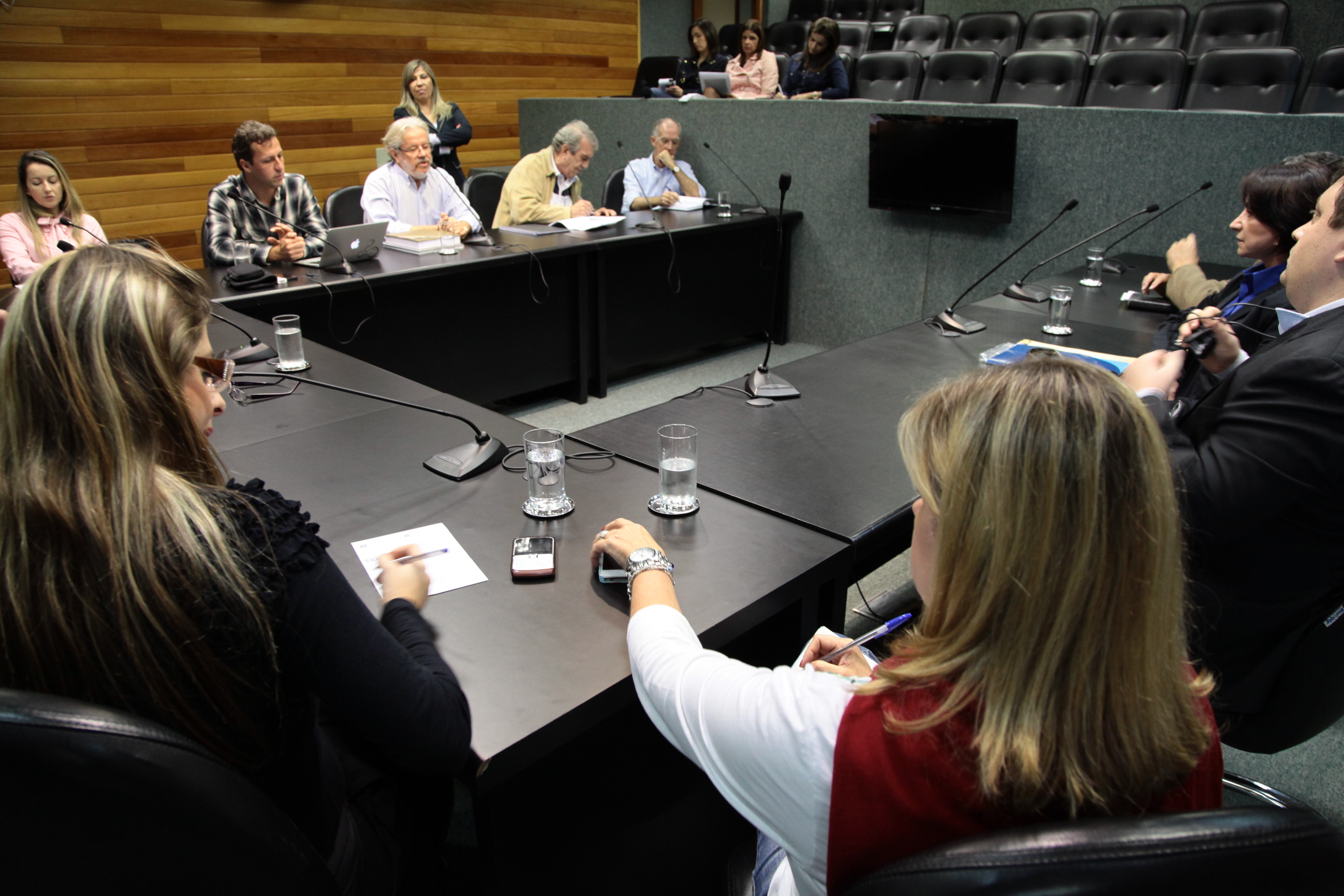 Reunião da Comissão Mista Especial, sobre as comemorações relativas ao centenário do artista plástico Willy Alfredo Zumblick. Foto: Miriam Zomer