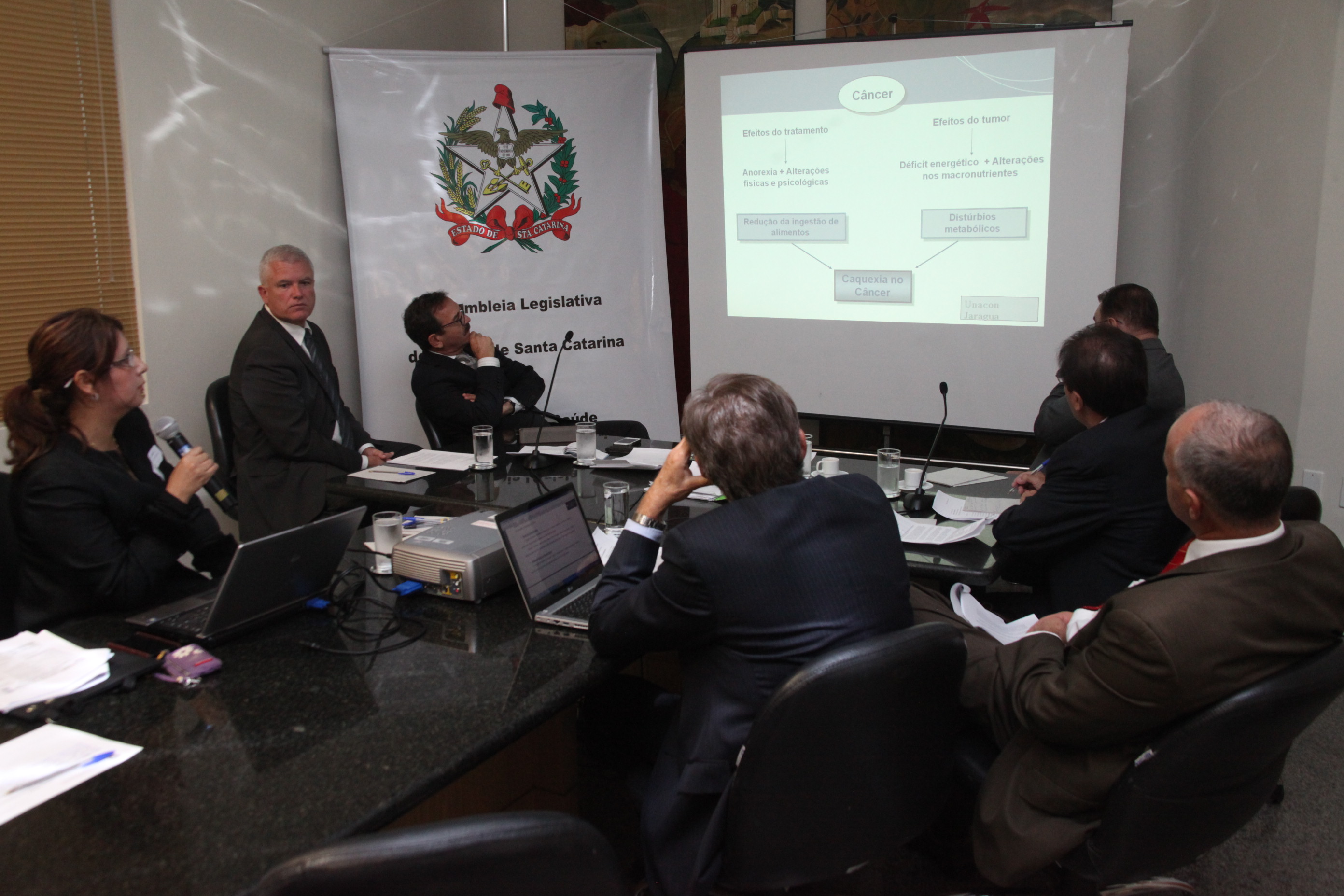 Reunião da Comissão de Saúde. Foto: Fábio Queiroz