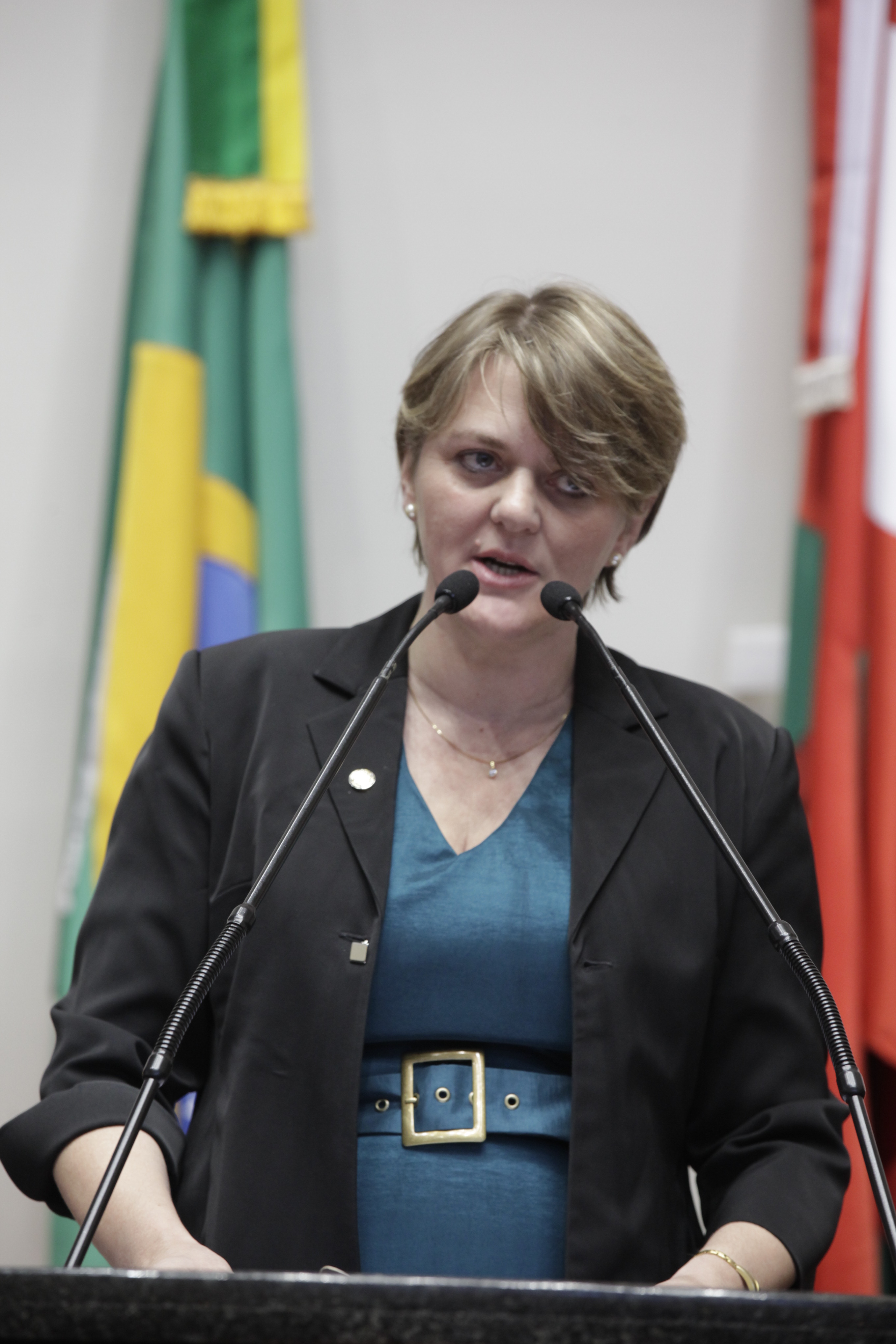 Sessão Ordinária - Plenário Osni Régis - Deputada: Luciane Carminatti (PT) -  Foto: Carlos Killian