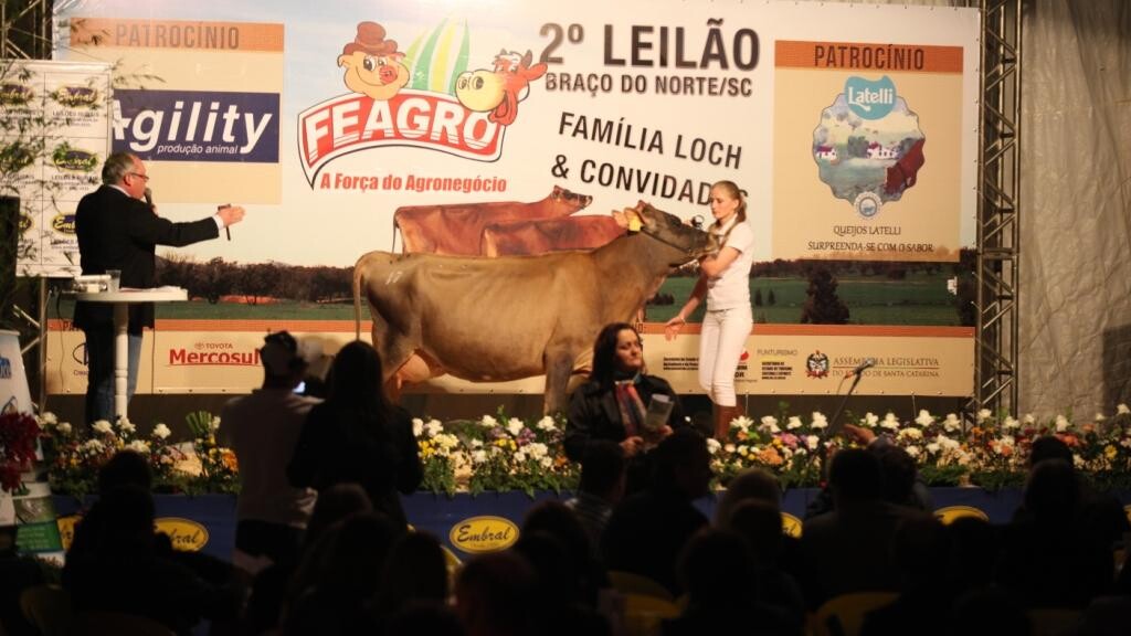 Região no sul do estado recebe denominação de Vale Catarinense da Produção do Gado Jersey