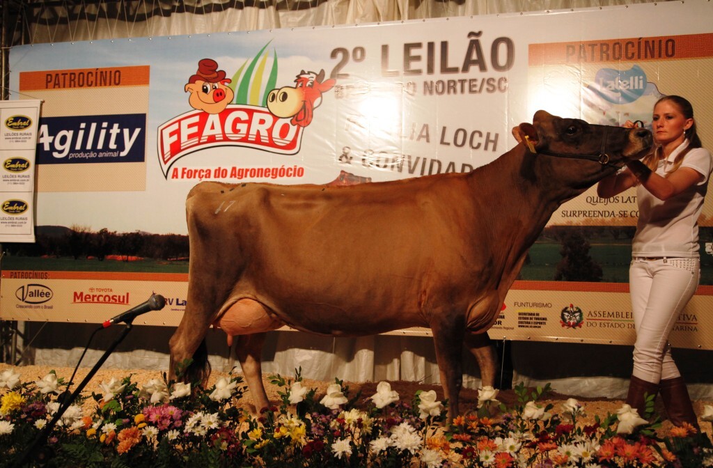 10ª Feagro tem início com a perspectiva de recorde mundial em exposição de gado