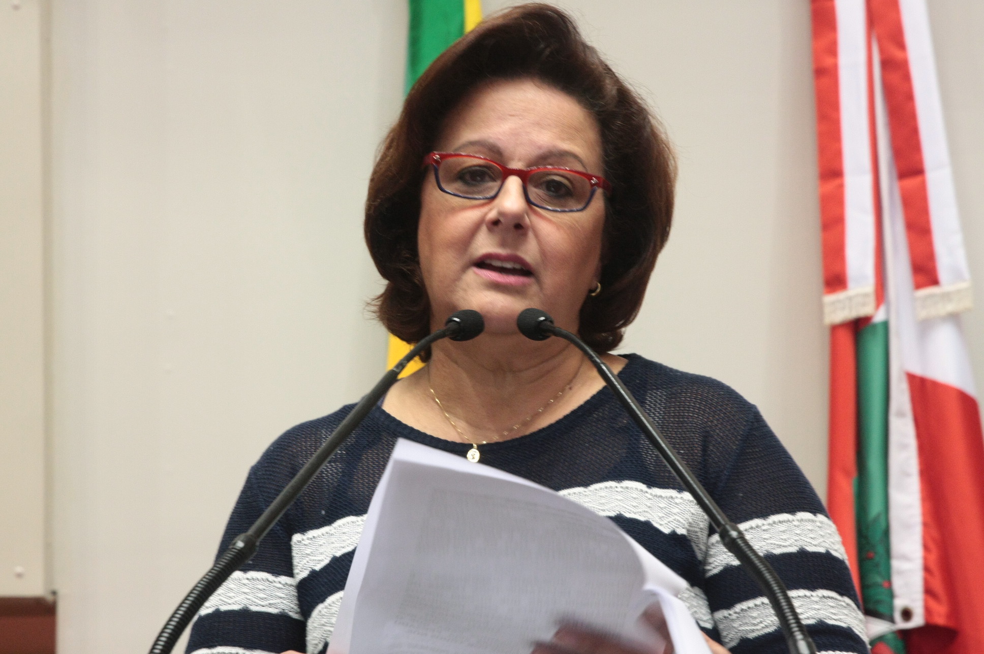 Sessão Ordinária - Plenário Osni Régis. Foto Eduardo Guedes de Oliveira