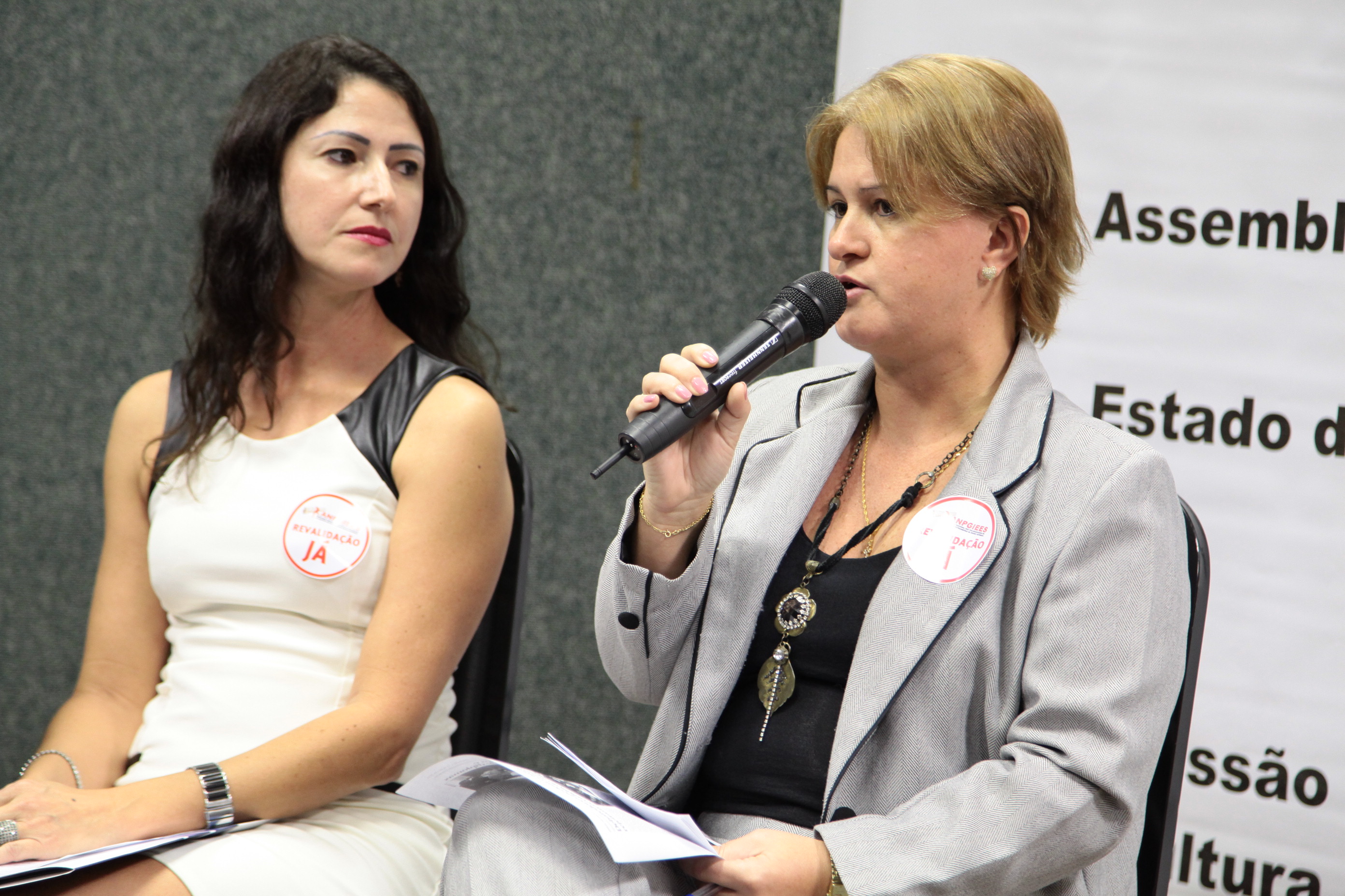 Audiência Pública para discutir sobre Admissão no Estado de Santa Catarina de Diplomas de Pós-Graduação obtidos no exterior. Foto: Miriam Zomer