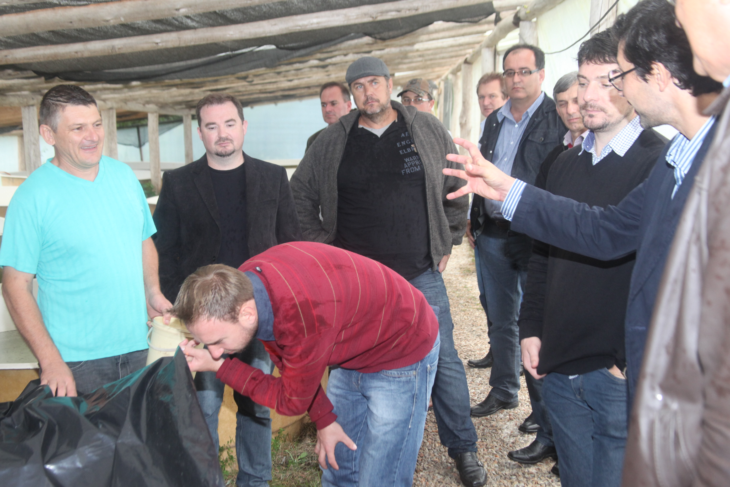 Deputado Jailson Lima (PT) promove visita de prefeitos e vereadores do Alto Vale, de Massaranduba e de Araranguá à Ranac, empresa de criação e beneficiamento de carne de rã. Foto: Fábio Queiroz.