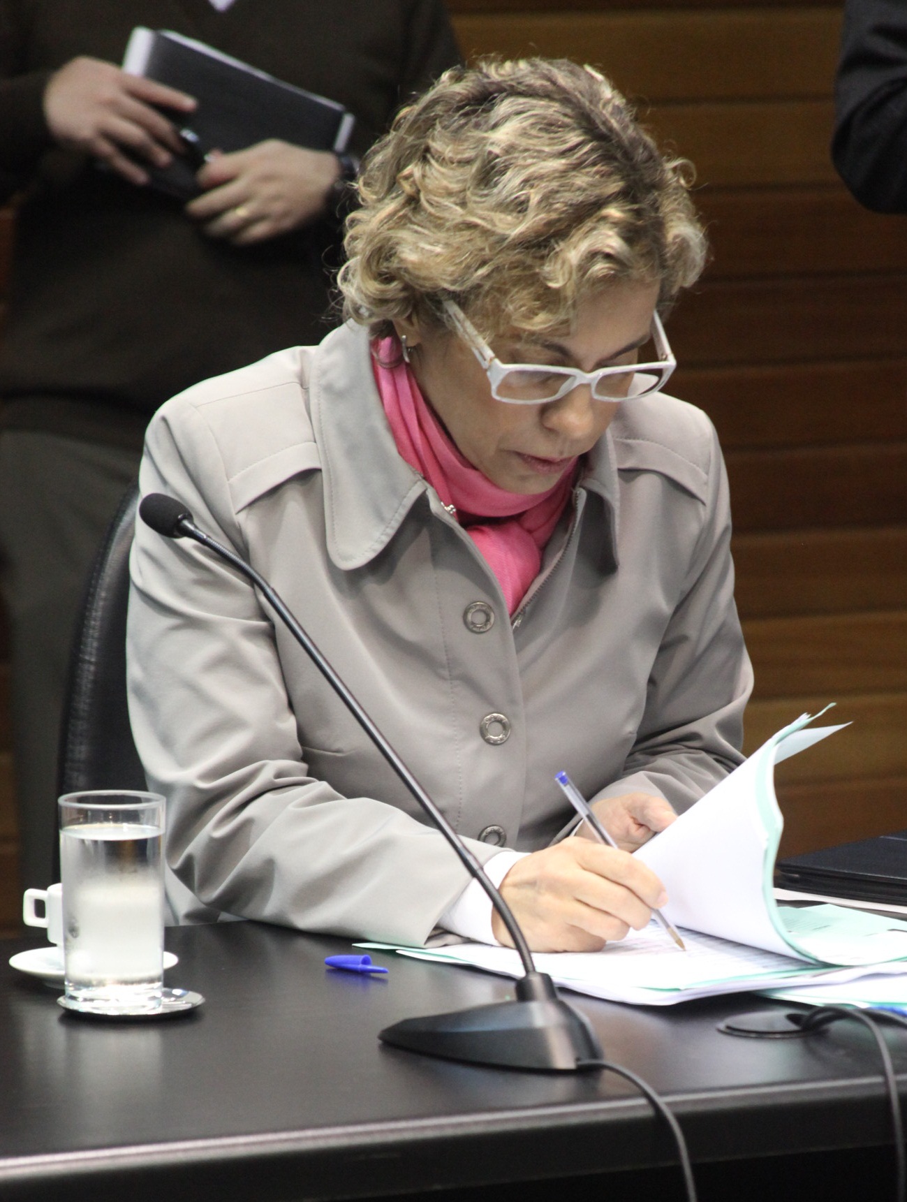 Comissão de Constituição e Justiça - Dep. Ana Paula Lima - Foto: Juliana Stadnik