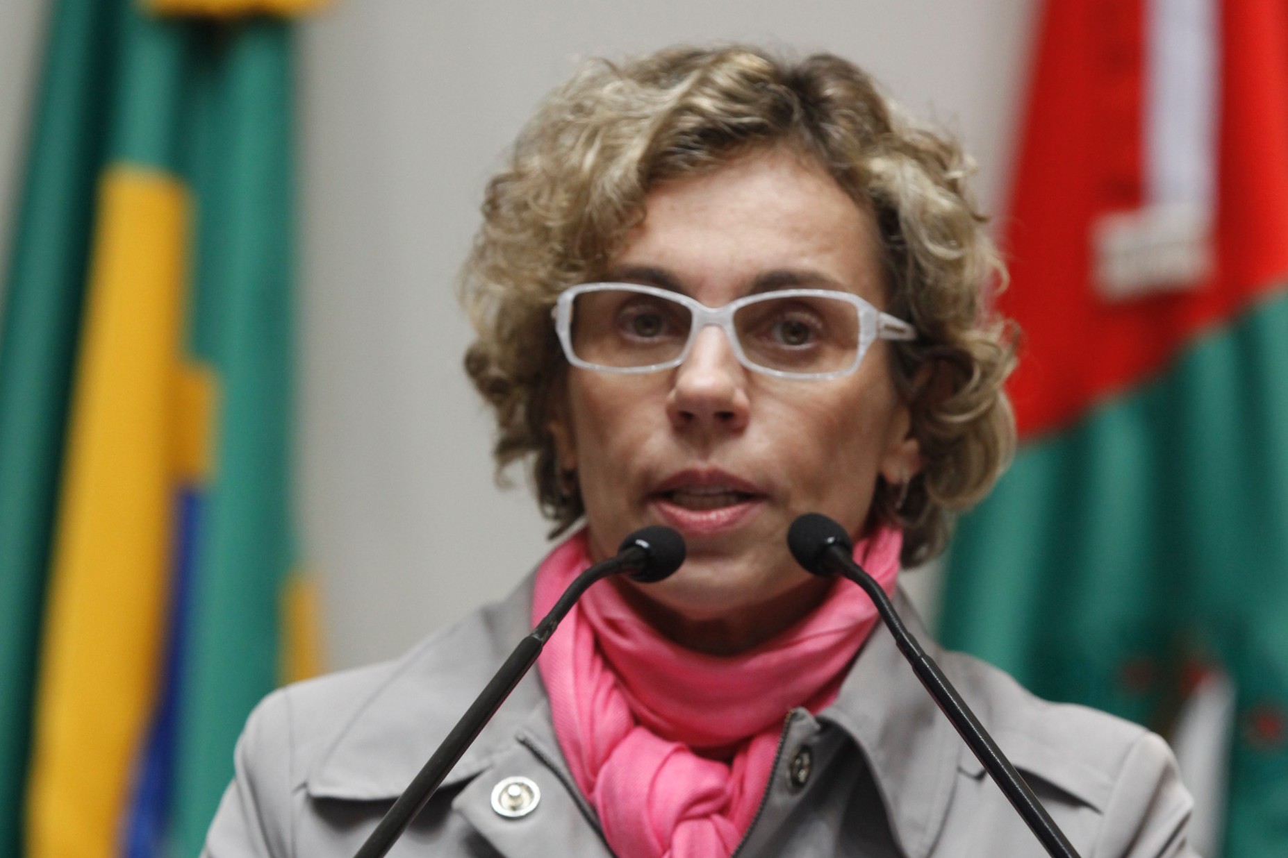 Sessão Ordinária Plenário - Osni Régis - Deputado : Ana Paula Lima (PT) - Foto: Carlos Kilian