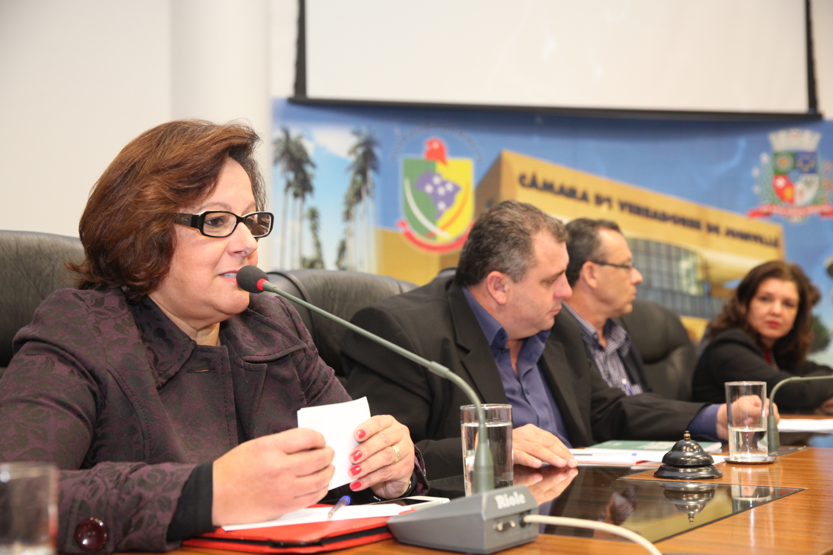 Audiência Publica Idosos Joinville. Foto:Alberto Neves