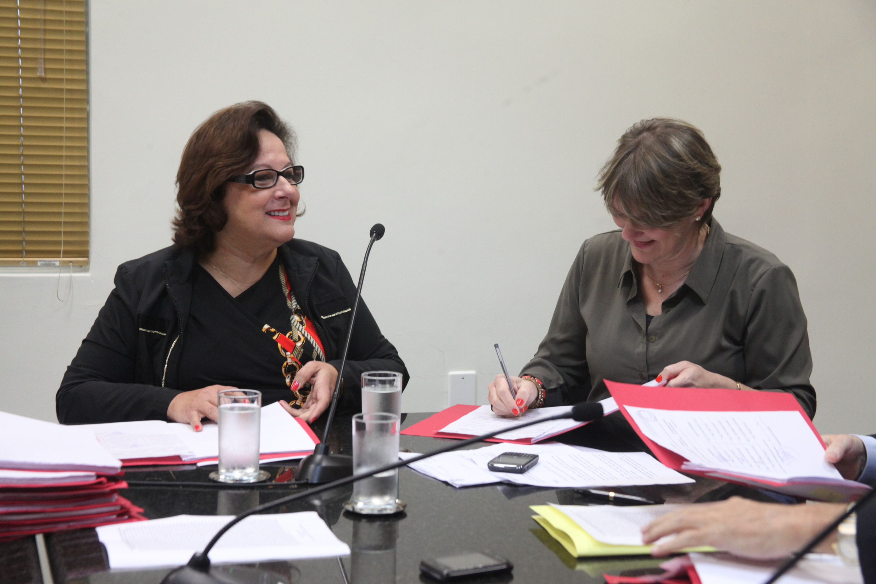 Comissão de Direito das Pessoas com Deficiência - Foto: Juliana Stadnik