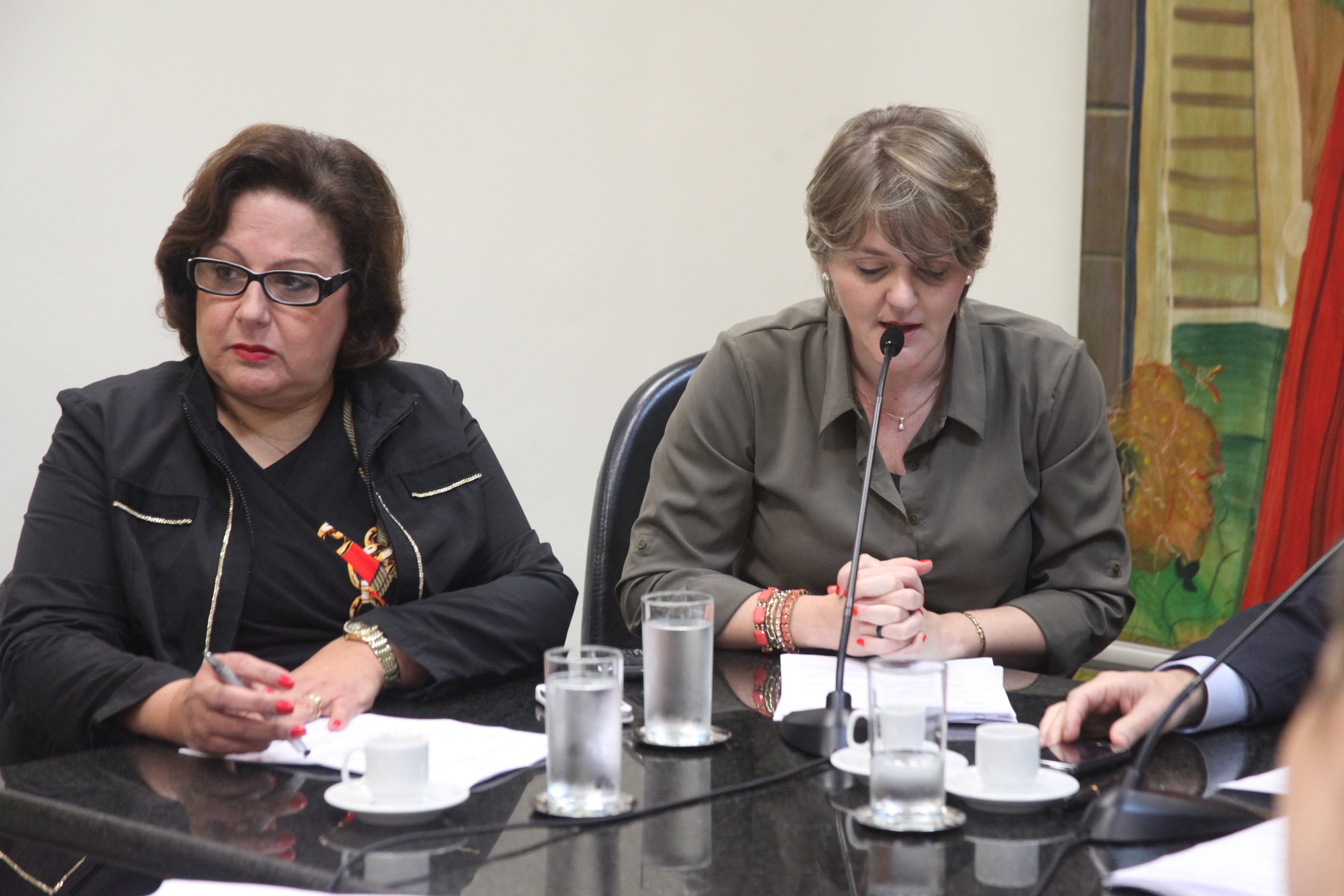 Comissão de Direito das Pessoas com Deficiência - Foto: Juliana Stadnik