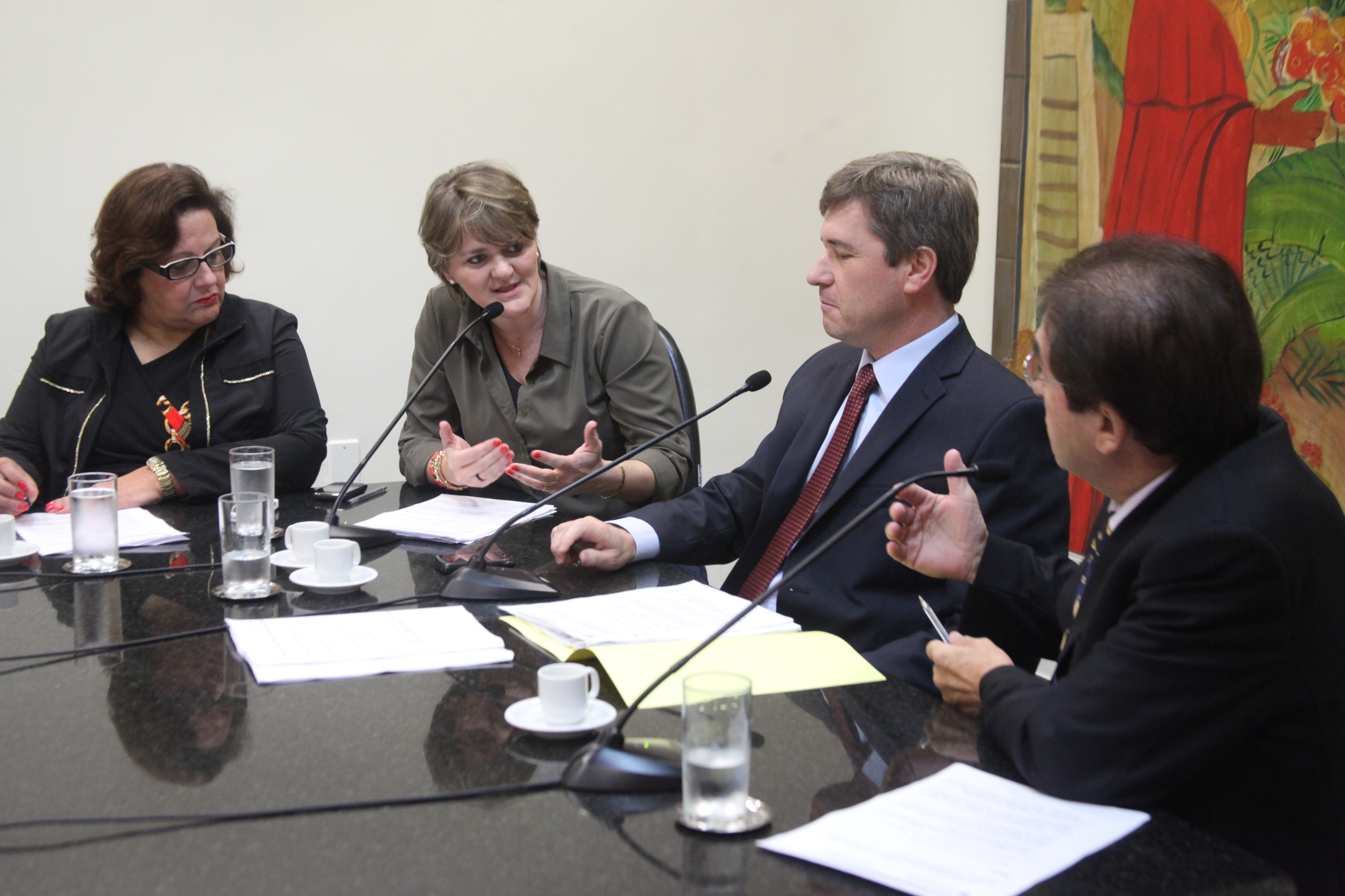 Comissão de Direito das Pessoas com Deficiência - Foto: Juliana Stadnik