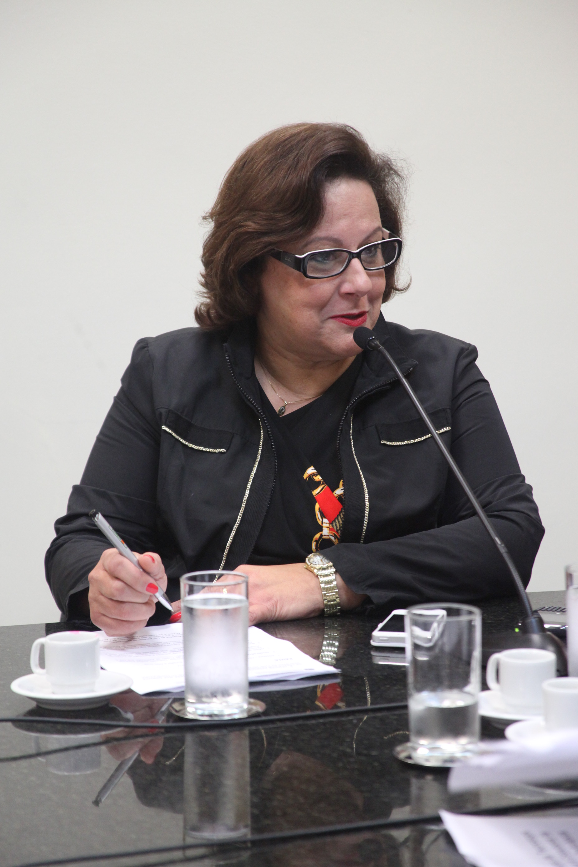 Comissão de Direito das Pessoas com Deficiência - Dep. Dirce Heiderscheidt - Foto: Juliana Stadnik