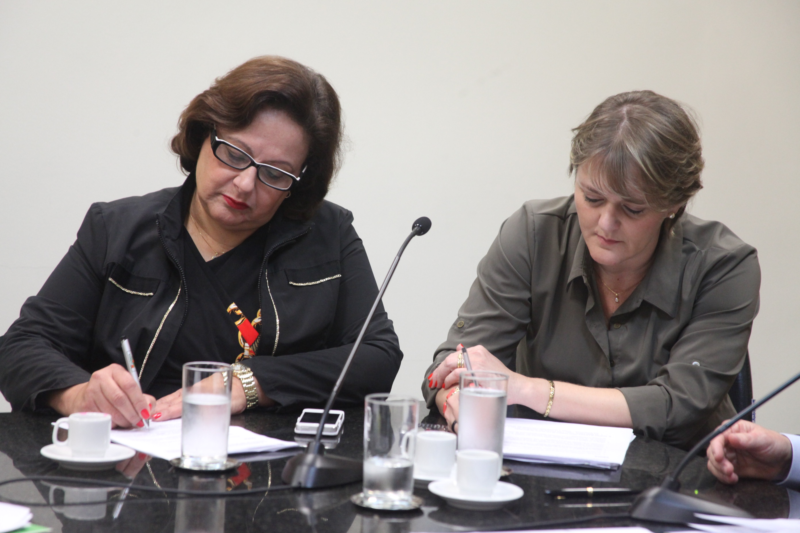 Comissão de Direito das Pessoas com Deficiência - Foto: Juliana Stadnik