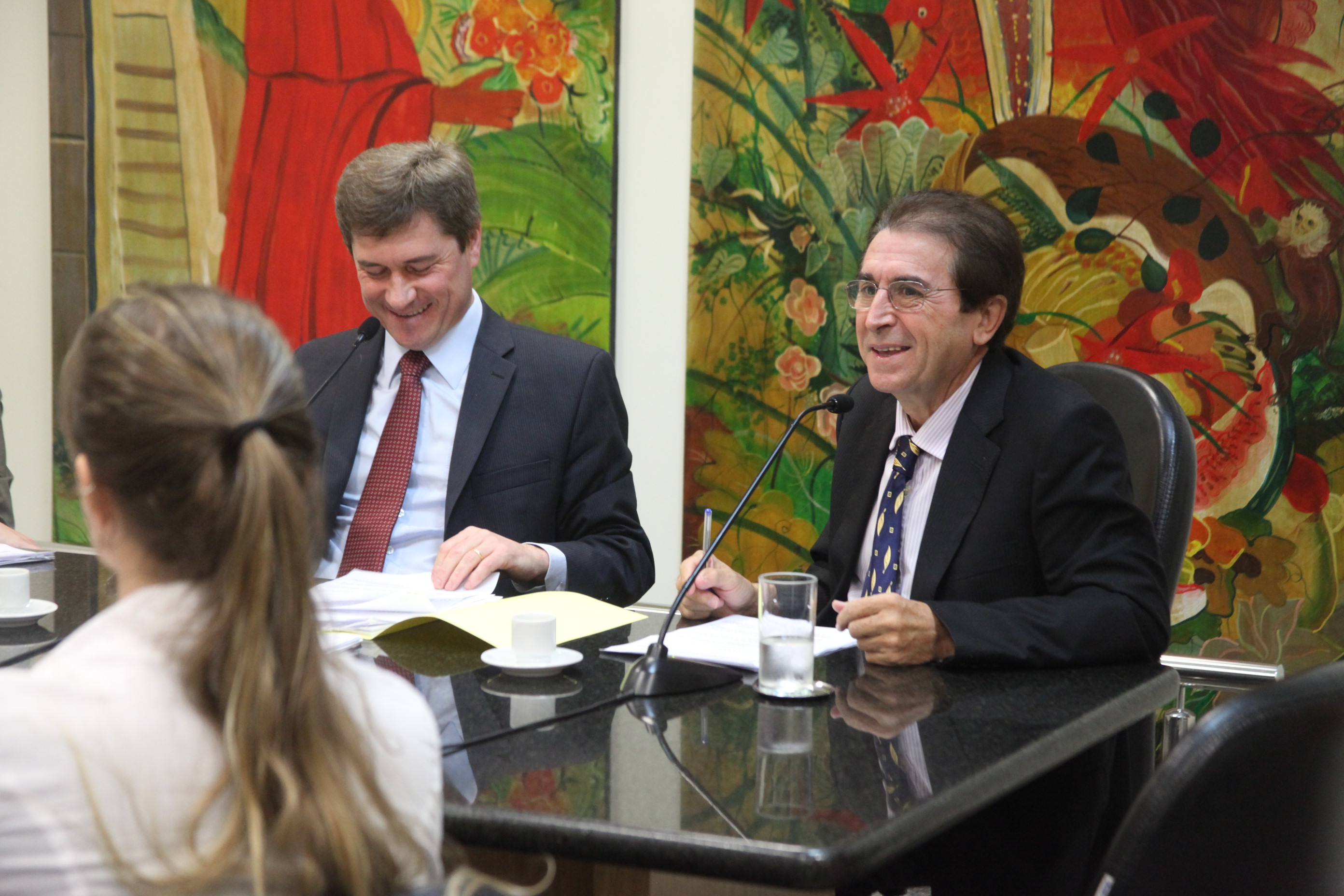 Comissão de Direito das Pessoas com Deficiência - Foto: Juliana Stadnik