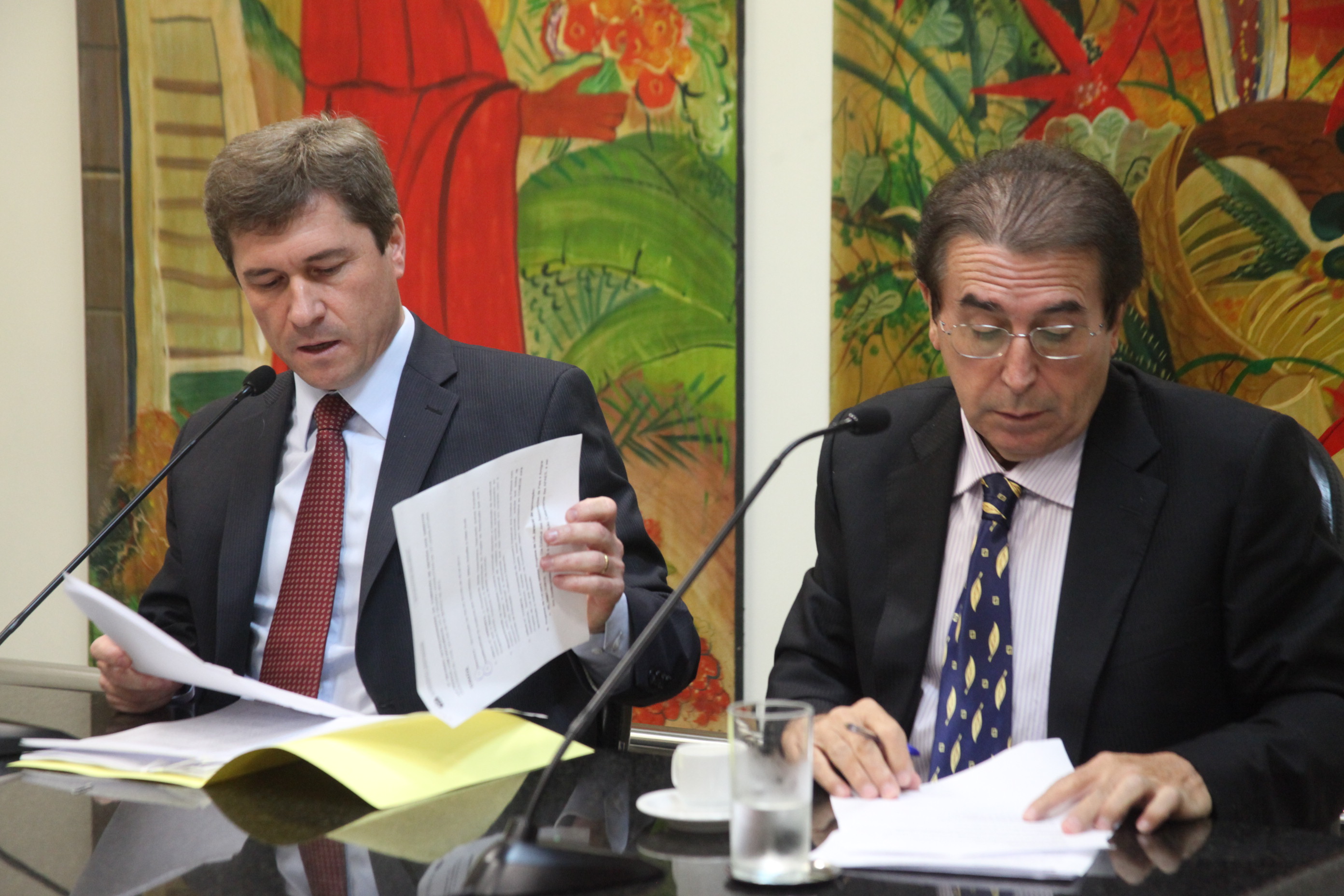 Comissão de Direito das Pessoas com Deficiência - Foto: Juliana Stadnik