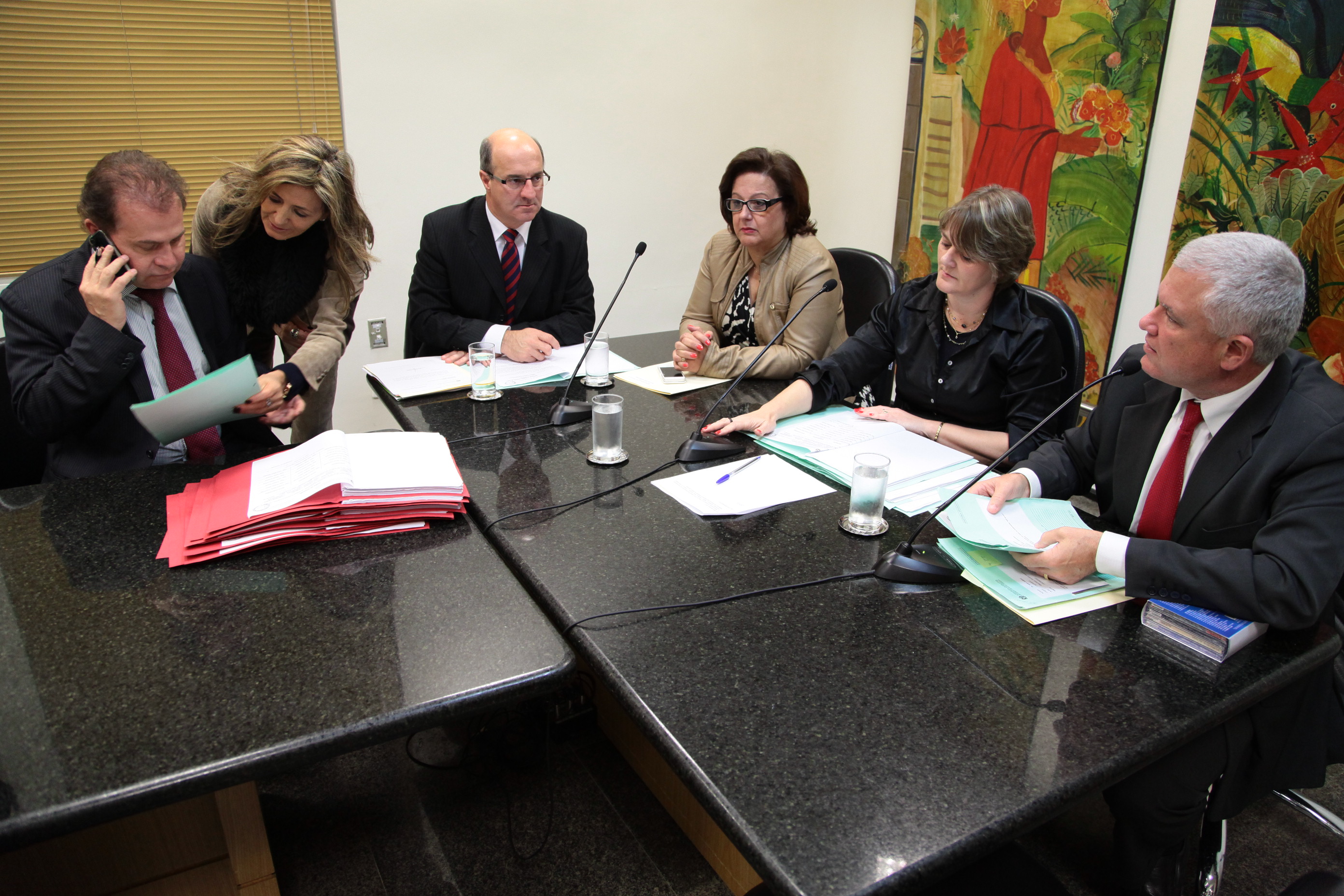Reunião da Comissão de Direitos e Garantias Fundamentais. Foto: Miriam Zomer