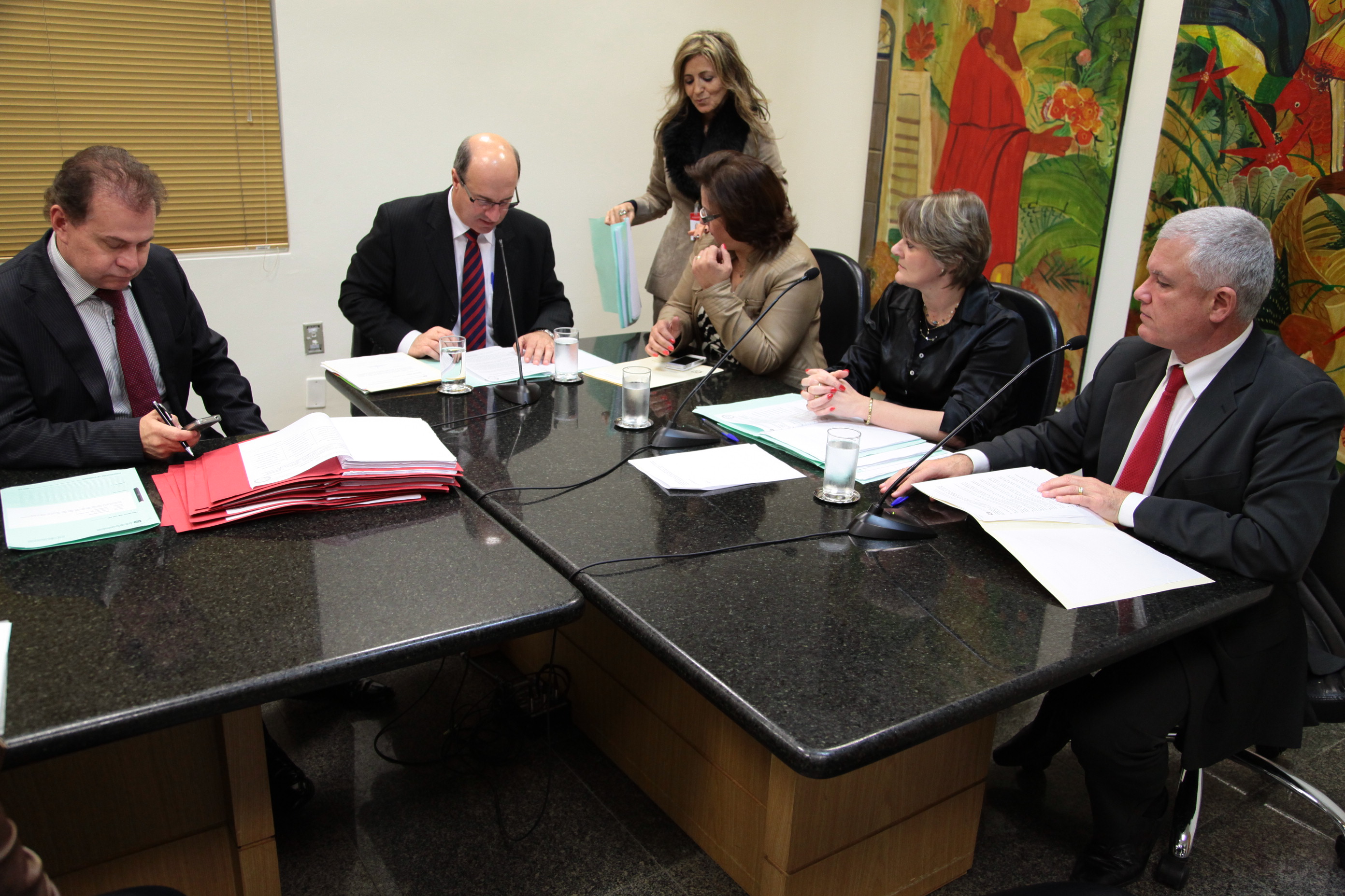 Reunião da Comissão de Direitos e Garantias Fundamentais. Foto: Miriam Zomer