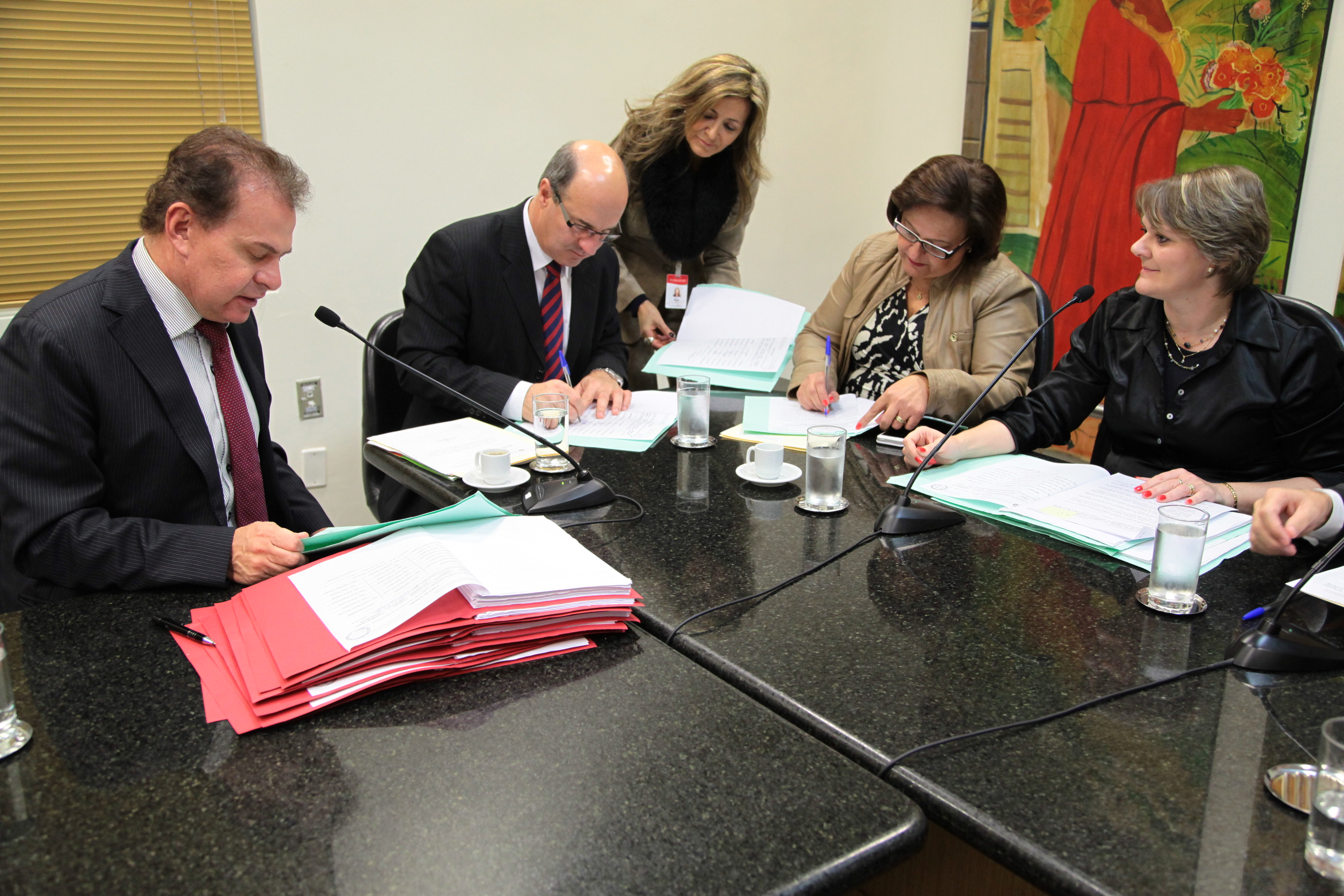Reunião da Comissão de Direitos e Garantias Fundamentais. Foto: Miriam Zomer
