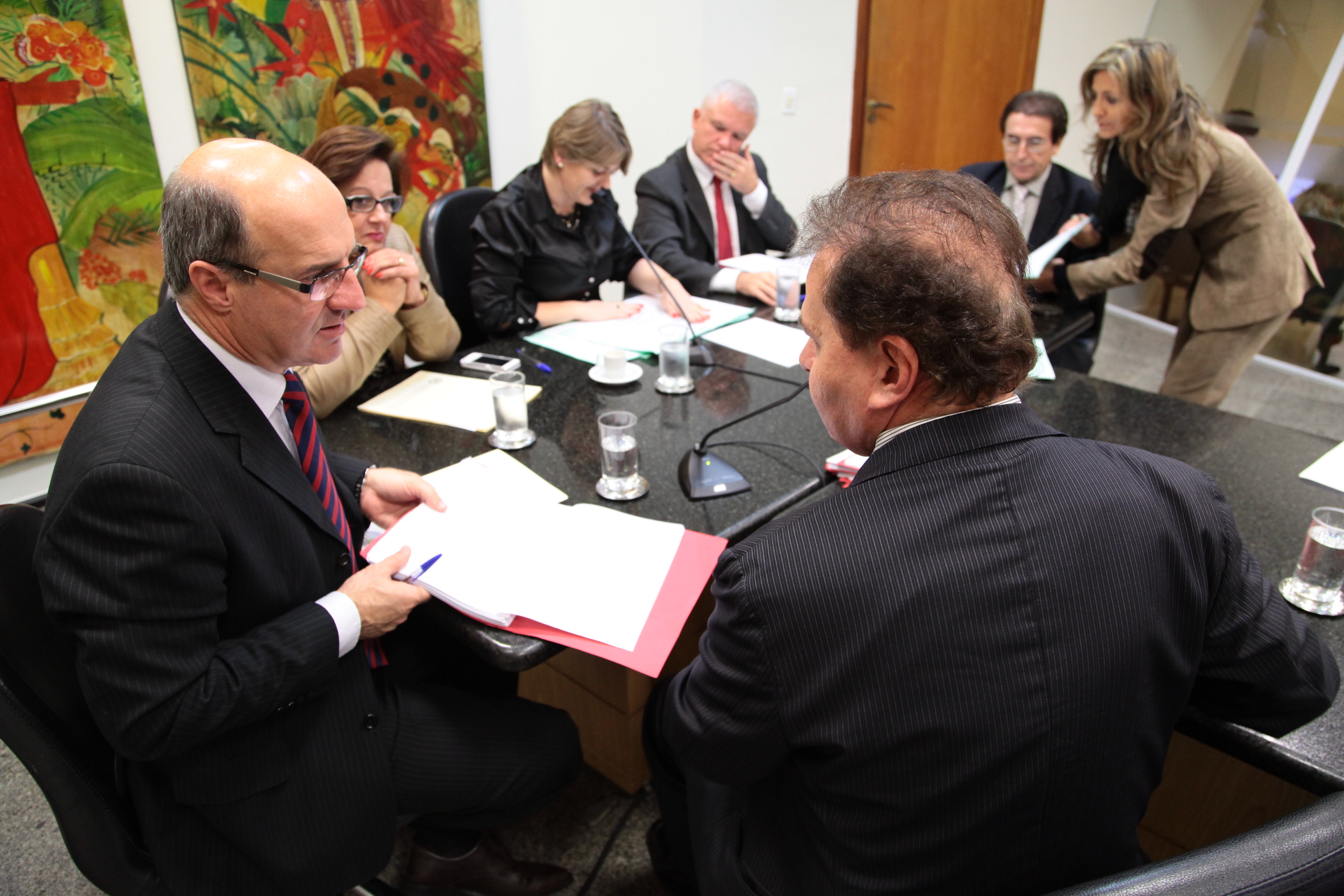 Reunião da Comissão de Direitos e Garantias Fundamentais. Foto: Miriam Zomer