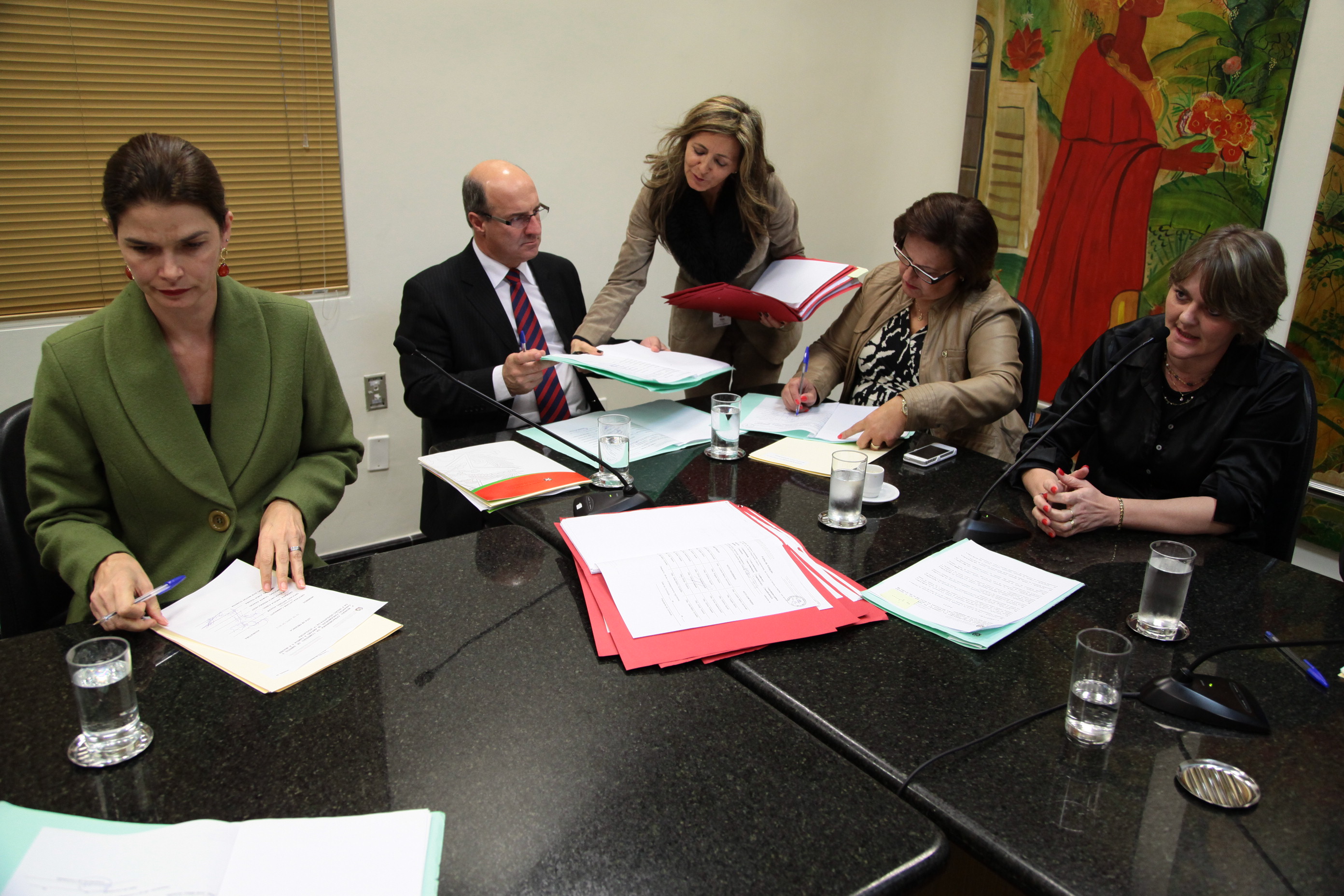 Reunião da Comissão de Direitos e Garantias Fundamentais. Foto: Miriam Zomer